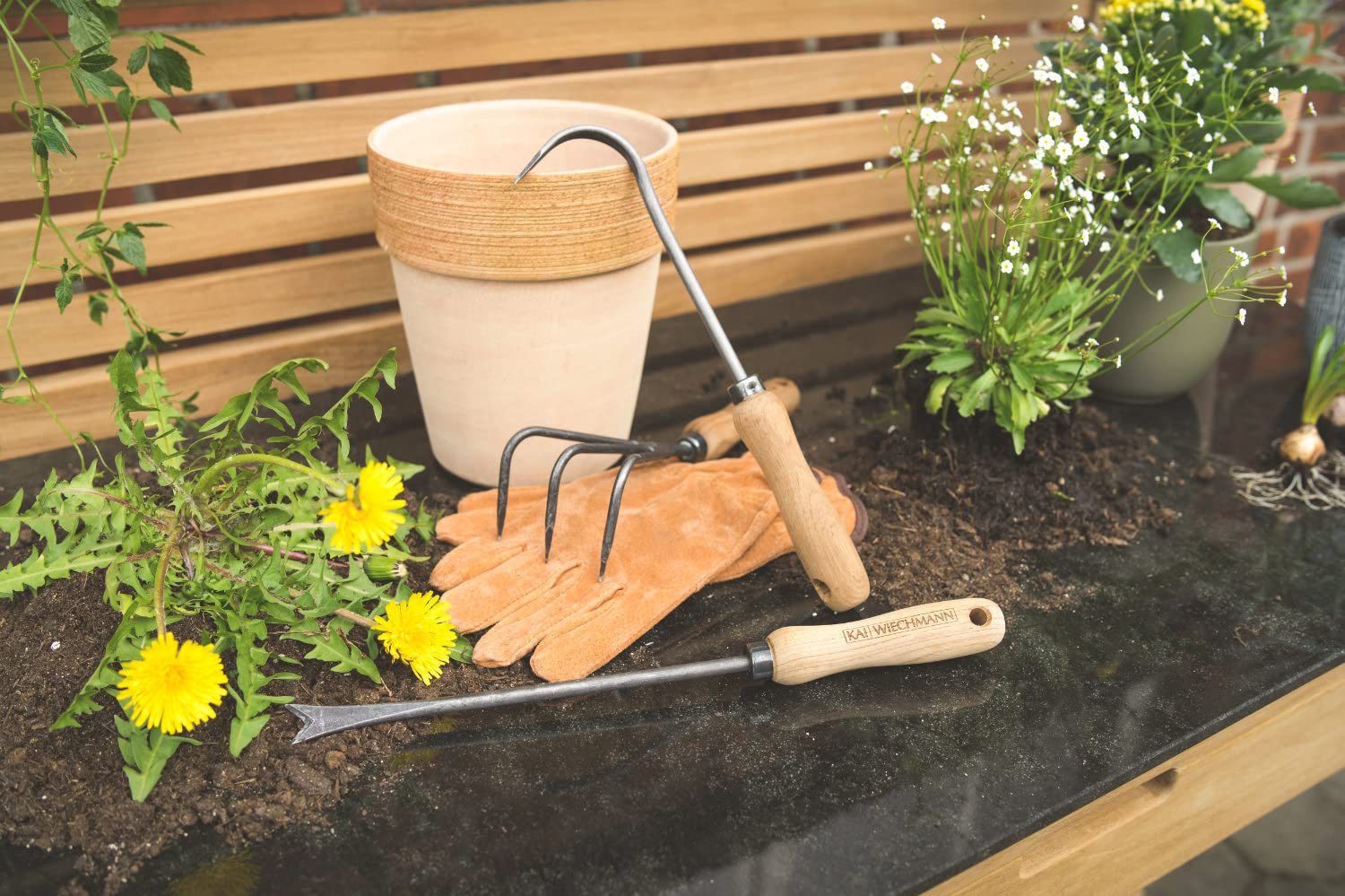 Kai Wiechmann Teak Unkrautstecher Unkrautentferner Handjäter geschmiedet Teakholz Griff Premium