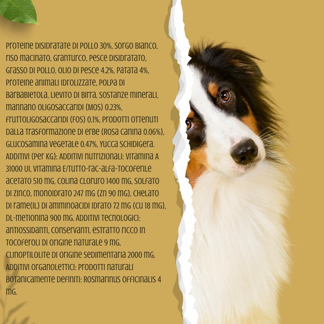Forza 10 Perro Mini Puppy Mono sabor pollo con patatas, alimento completo monoproteico para perros cachorros de talla pequeña, paquete de 2 kg.