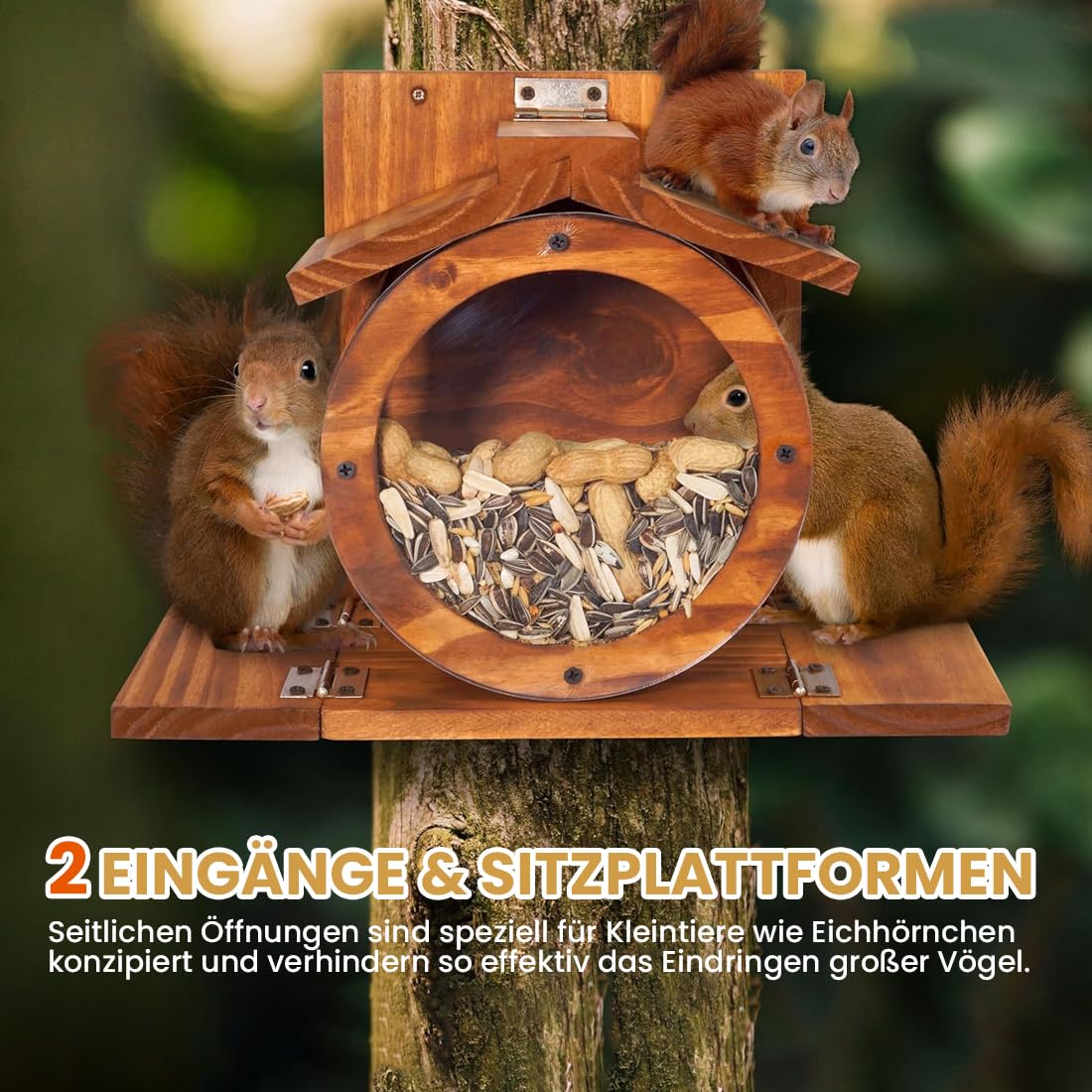 Eichhörnchen Futterhaus Wetterfes mit Runden Transparentes, Futterstationen für Eichhörnchen, 2 Eingänge & Sitzplattformen, Eichhörnchen Futterstation zum Aufhängen mit Belüftungslöchern