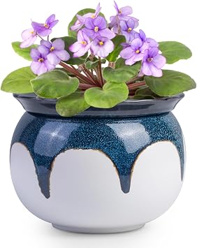 African Violet Pots, 6 inch Ceramic Easy Self Watering Plant Pot for Busy Plant Lovers, Automatically Absorb Appropriate Amount of Water, Flower Pot Indoor-Plants Not IncludedBlue
