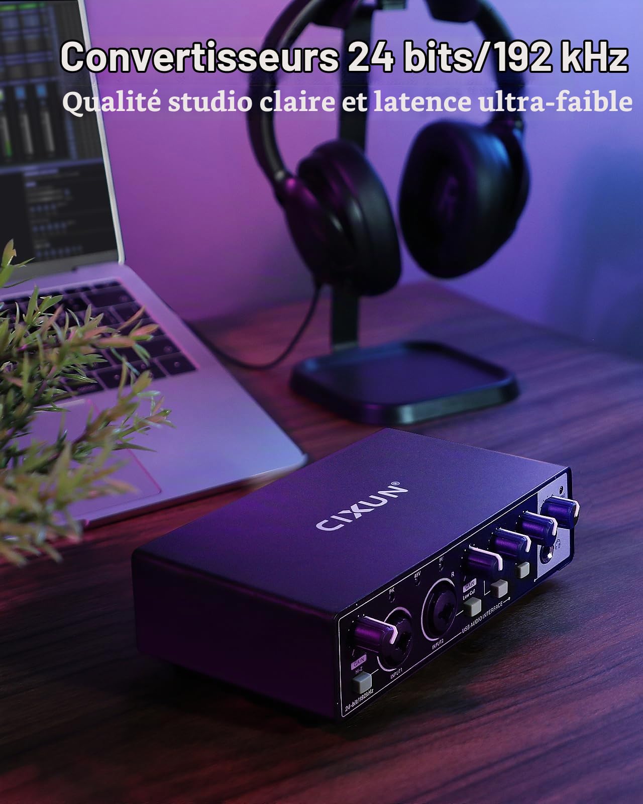 Carte Son Externe,2×2 Interface Audio USB-C pour PC,24 Bits/192 kHz, Doubles Entrées TS/XLR,Alimentation Fantôme +48 V,pour Studio/Podcast/Diffusion en Direct (Noir)