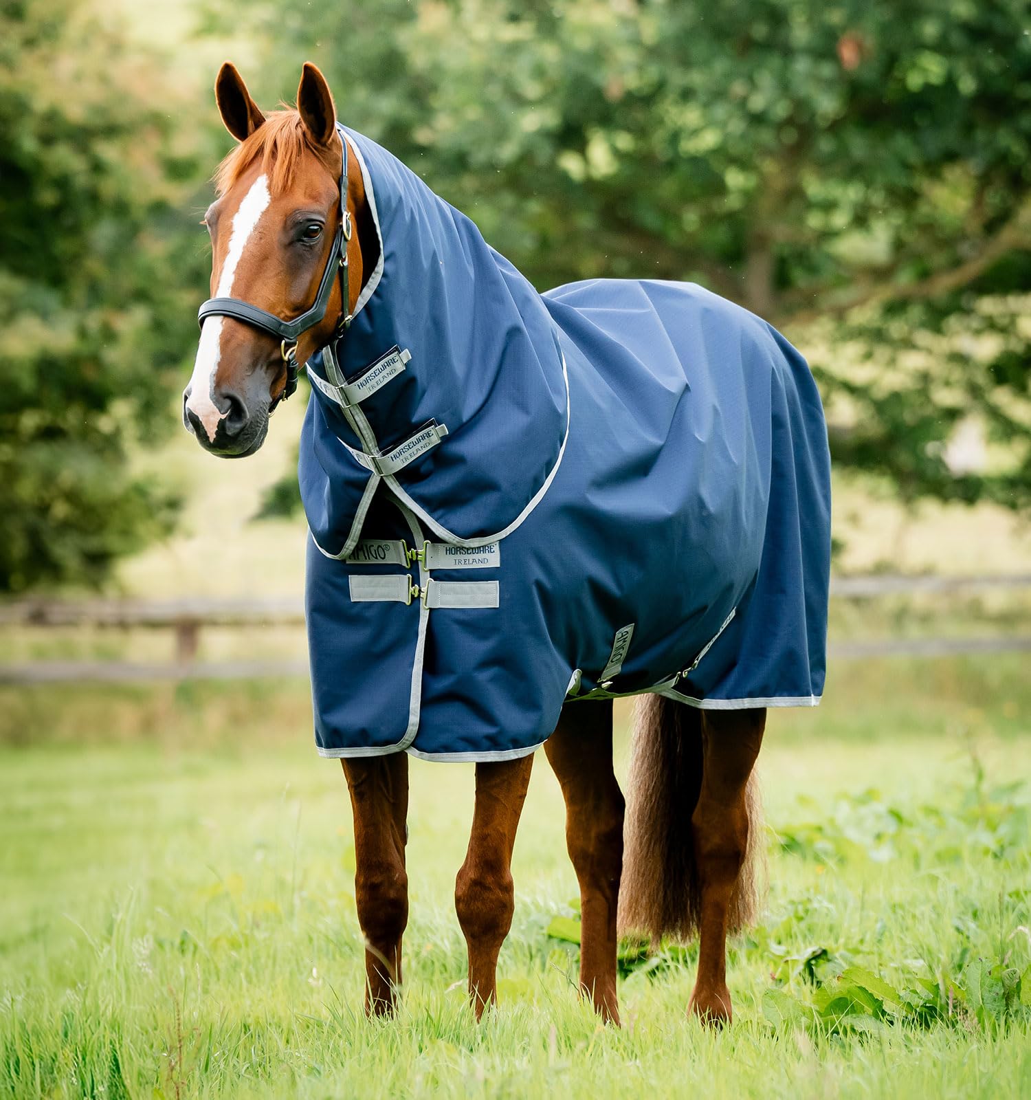 Horseware Deckengröße: 140 cm