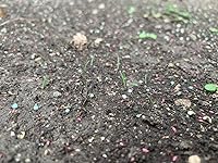 Review Image by KrisJasC KrisJasC