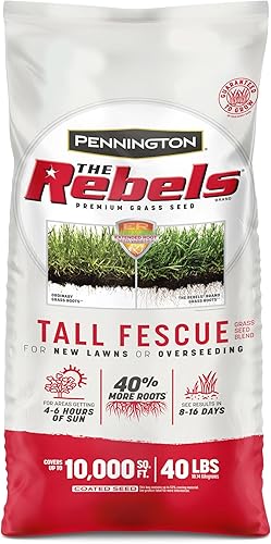 Pennington The Rebels Tall Fescue - Mezcla de semillas de hierba de 40 libras