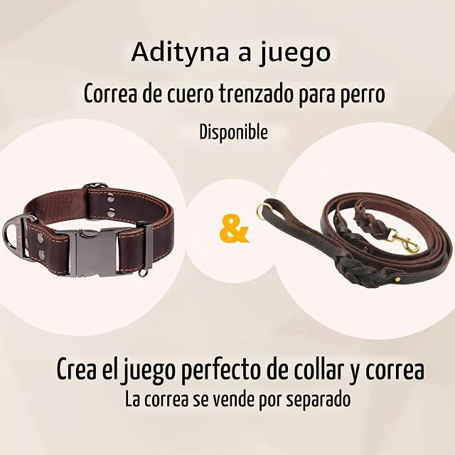Foto 8 de 8 de ADITYNA Collar de Piel para Perro con Hebilla de Metal, Resistente, Ajustable, para Perros medianos y Grandes