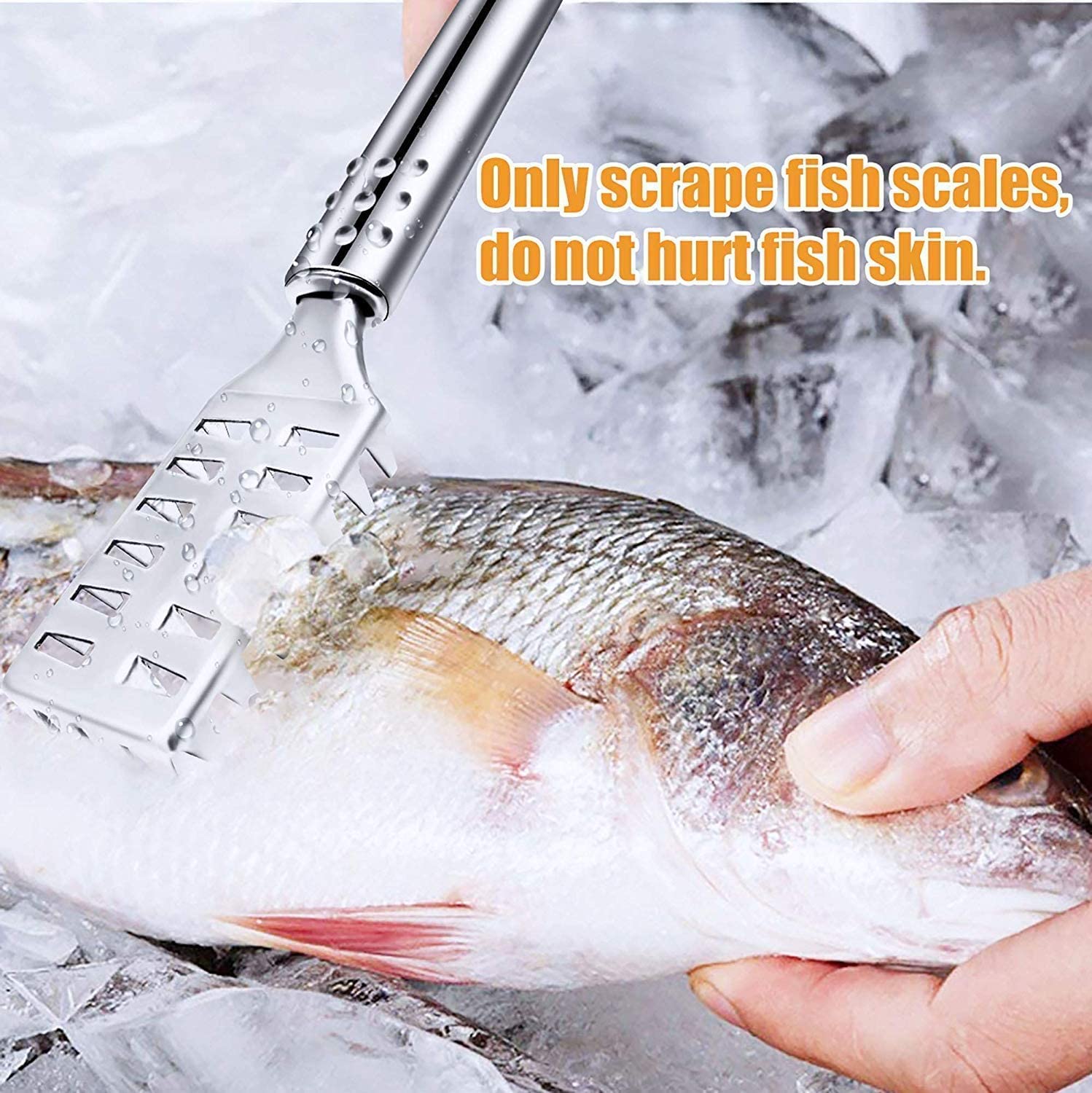 Fish Scale Remover Stainless Steel Sawtooth Fish Scaler | Manual Fish Scale Scraper with Ergonomic Handle, Kitchen Seafood Cleaning Tool for Home & Professional Use - Fish Scale Remover - Image 2