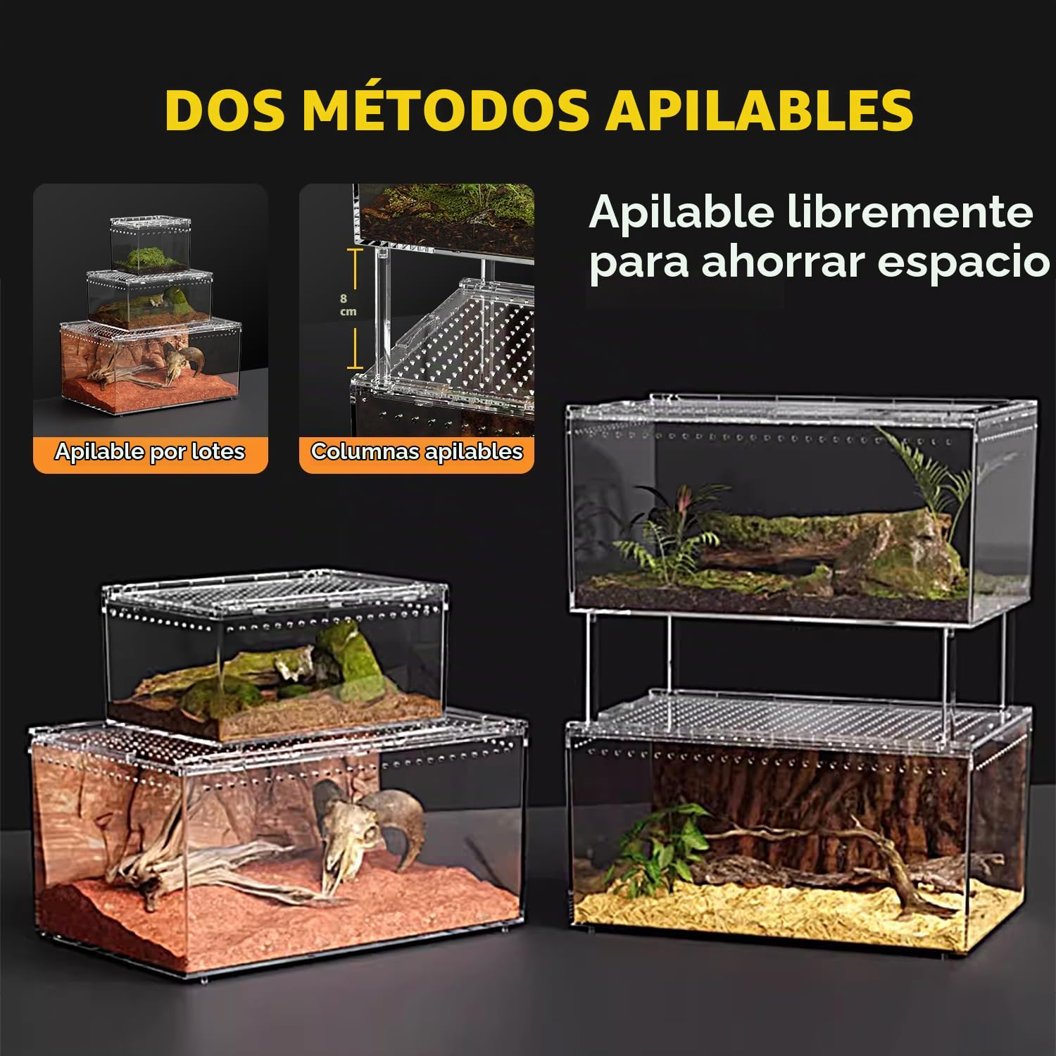 Terrario para Reptiles PC, Recinto para Tarántulas, Tanque para Arañas con Botón Magnético. Terrario para Lagartos de 30x20x15 cm, Tanque de Cría de Reptiles para Insectos, Peces, Cangrejos Ermitaños