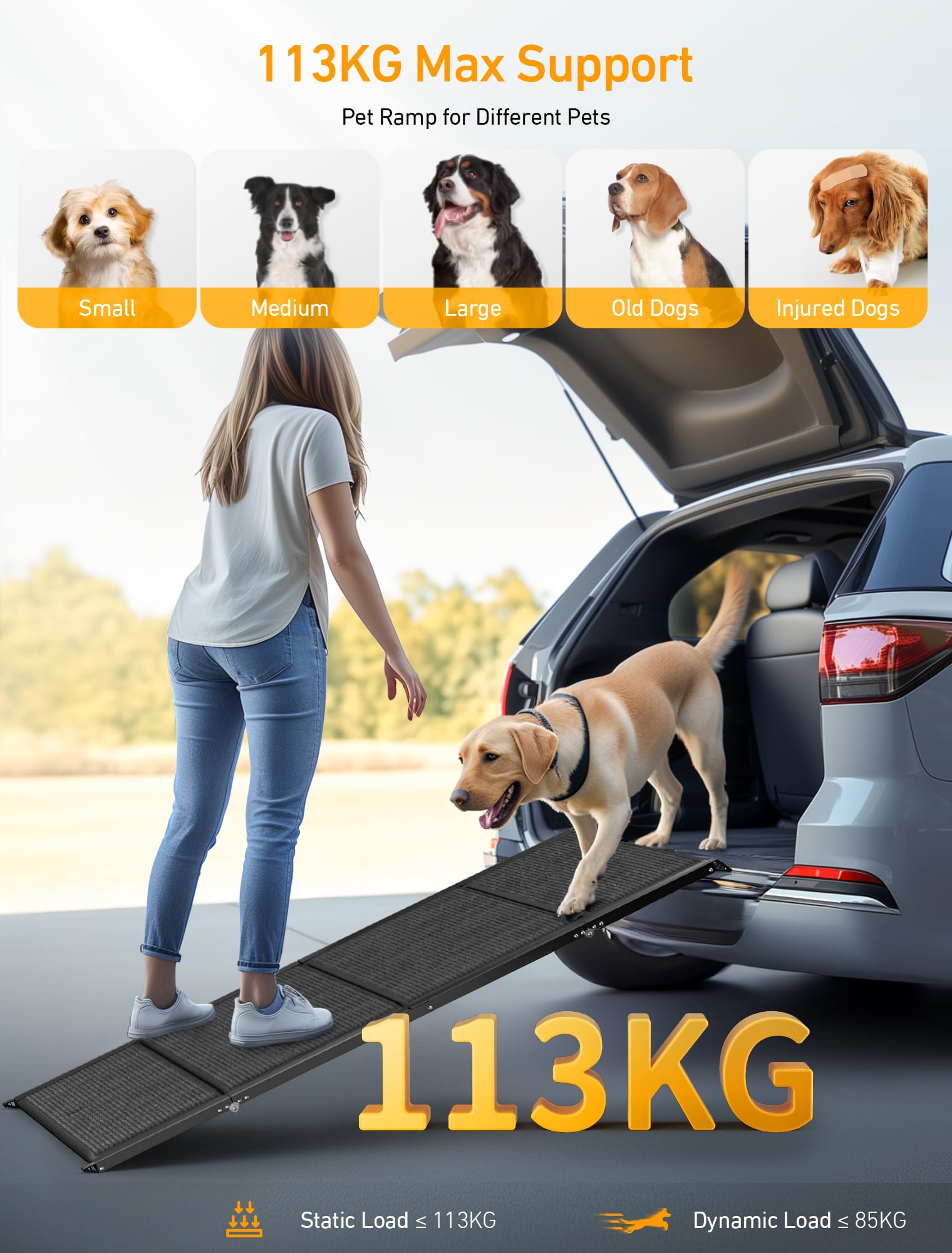 Rampe pour Chien Voiture Pliable, Échelle Pliante Escalier pour Grands Chiens, Supporte 113kg, pour Camion SUV