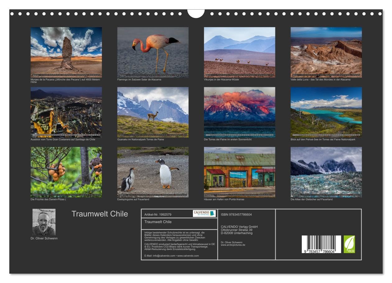 Traumwelt Chile (Wandkalender 2026 DIN A3 quer), CALVENDO Monatskalender (CALVENDO Natur)