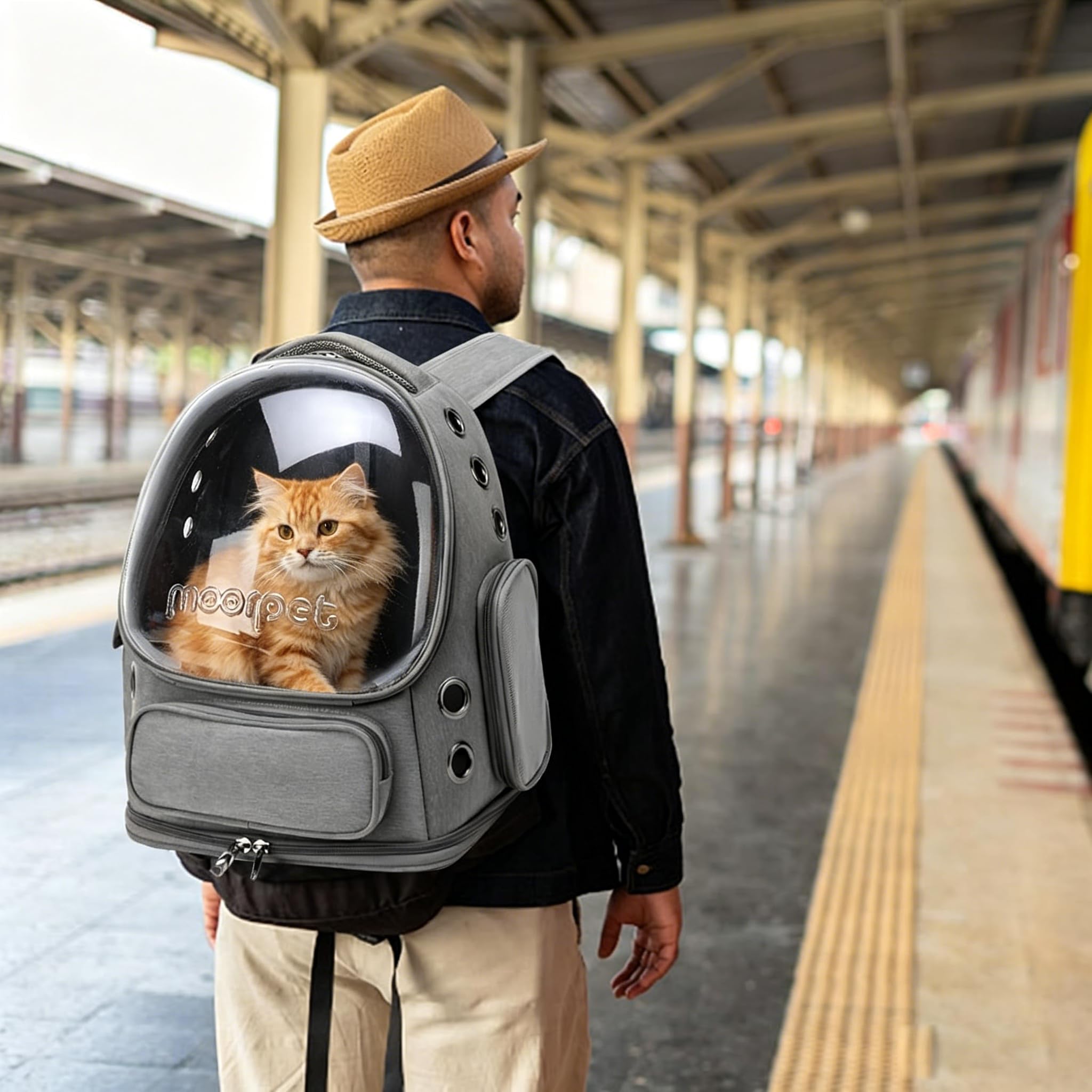 PETCUTE Sac à Dos Chat Chien, Sac Transport Chat Chien Respirant pour Petits Chats et Chiens Chiot, Sac à Dos à Bulle pour Animal Domestique avec Tapis Amovible,Sangle de Sécurité Interne,pour Voyage