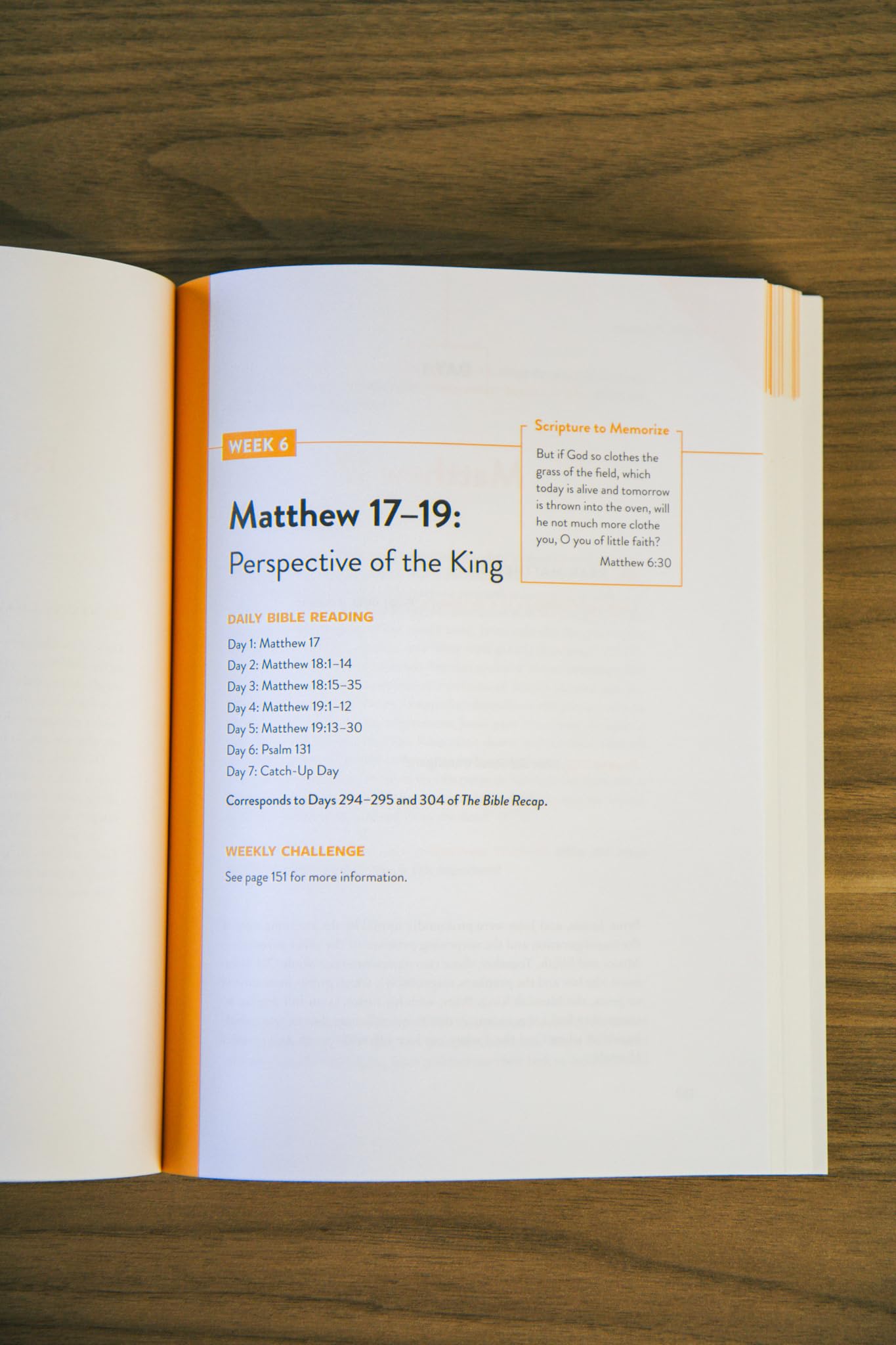 Knowing Jesus as King: A 10-Session Bible Study on the Gospel of Matthew--For Individual or Group Study --Includes Daily Readings, Teachings, Questions, ... (The Bible Recap Knowing Jesus Series) - Image 7