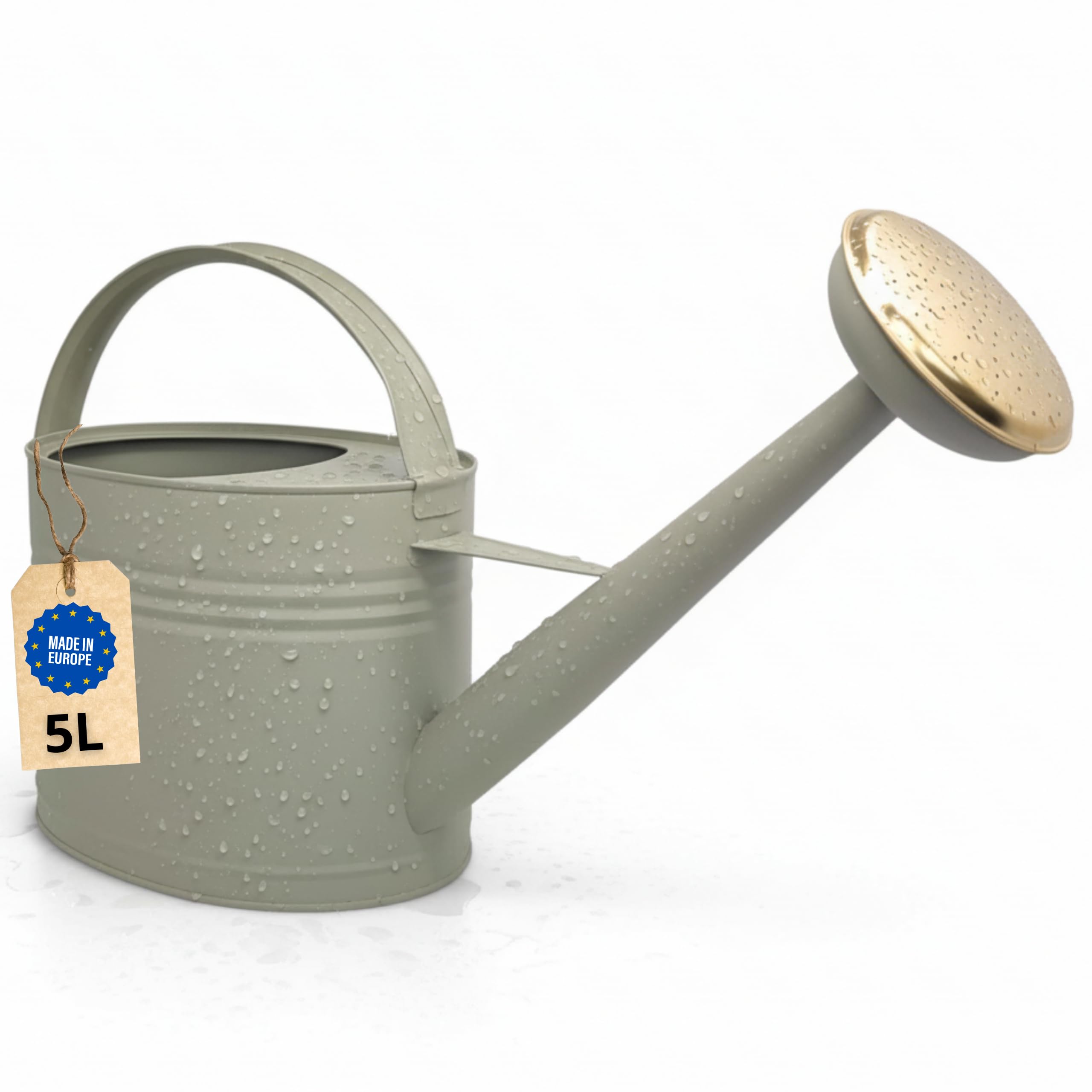 LIVLIG Zinc Watering Can, 5 Litres, Garden Watering Can Metal, Flower Watering Can for Indoor and Outdoor Use, Vintage Watering Can, Removable Spout, Colour: Green