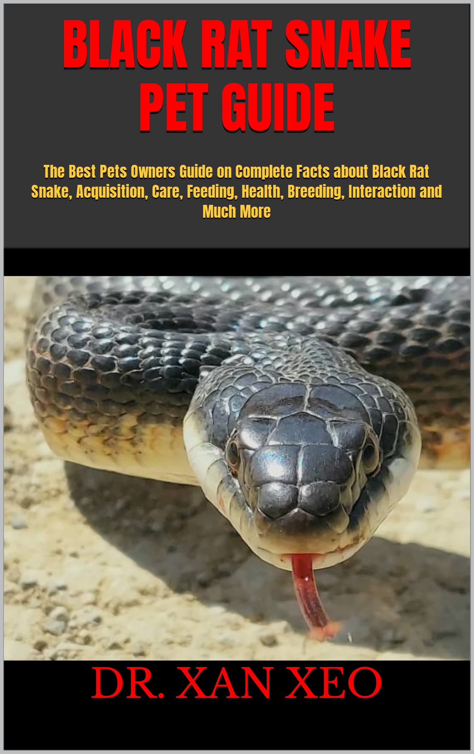 Buy BLACK RAT SNAKE PET GUIDE The Best Pets Owners Guide on Complete