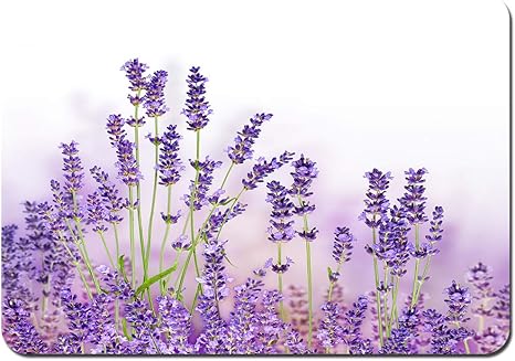 Amazon バスマット滑り止め白い背景の上の束のラベンダーの花バスルームラグ 洗えるカーペット 40x60cm 浴室足ふきマット ホーム キッチン オンライン通販 Amazon バスマット滑り止め白い背景の上の束のラベンダーの花バスルームラグ 洗えるカーペット 40x60cm 浴室足ふきマット ホーム キッチン オンライン通販