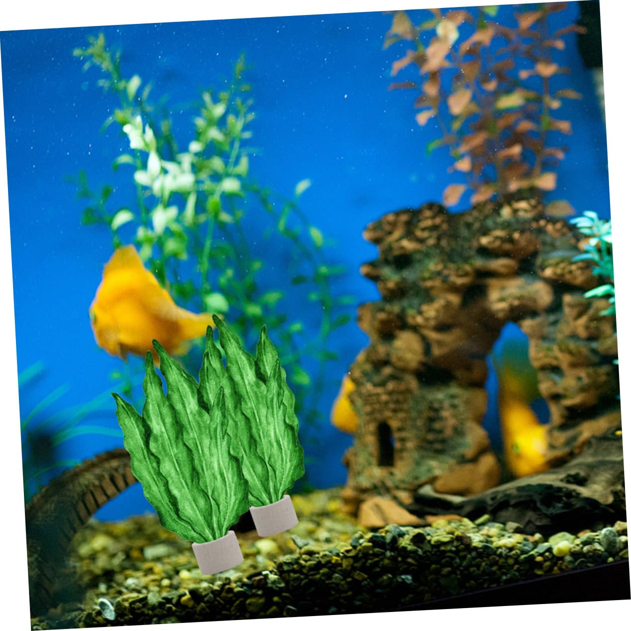 Aquarium Befestigungsring aus Keramik für Wasserpflanzen 12 Stück