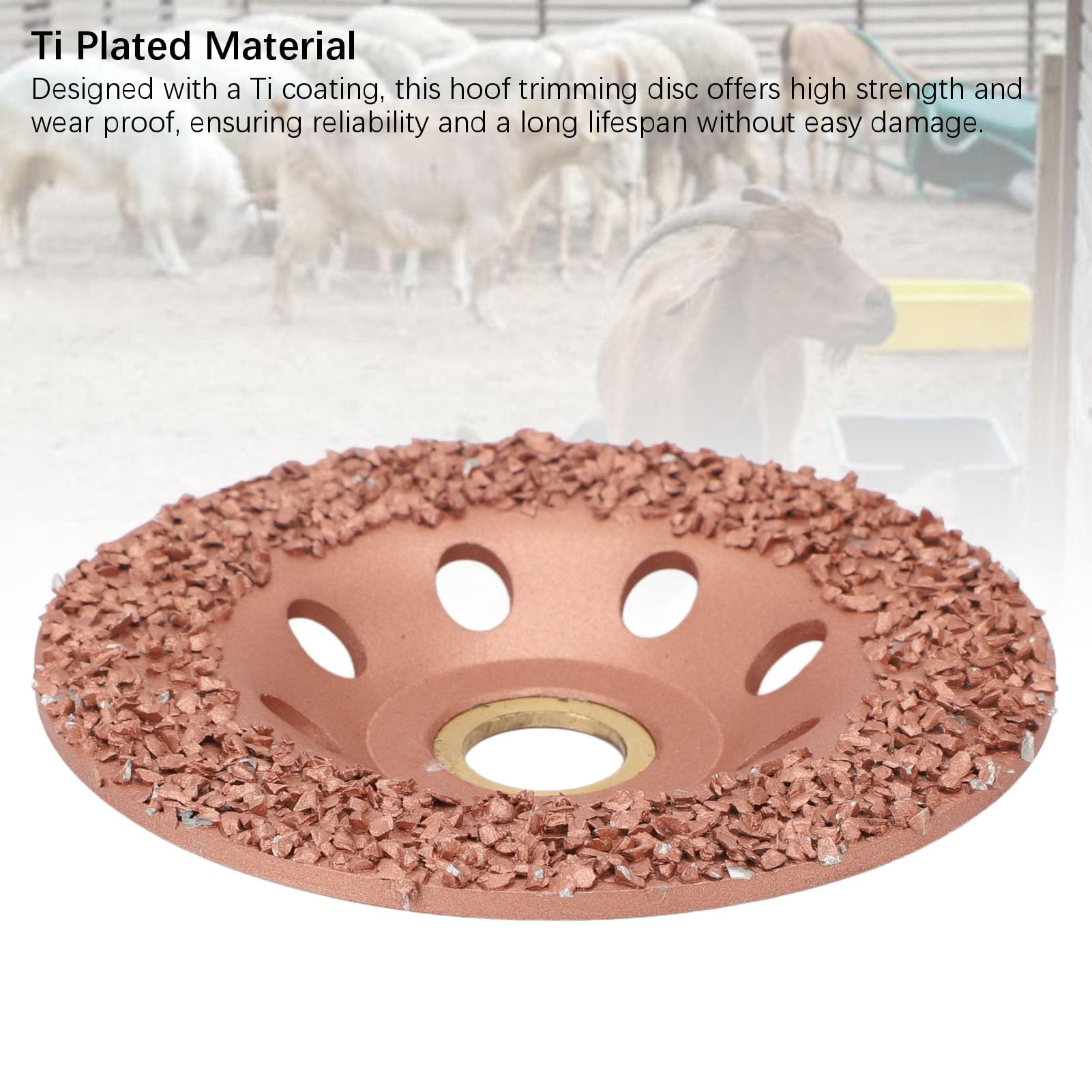 Pyhodi Disque de Parage pour Sabots de Bétail, Parage Robuste pour Sabots Robustes de Chèvres, Chevaux, Moutons et Bovins, Meule à Sabots Plaquée Titane, Outil de Réparation de Sabots,