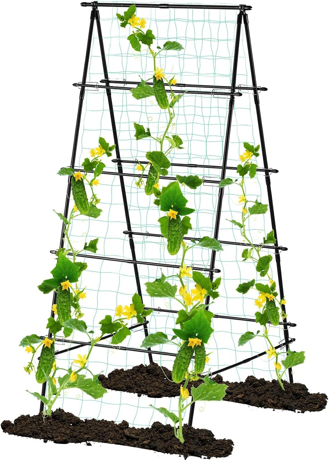 Garden Trellis for Climbing Plants, 71" H x 32" W Metal A-Frame Cucumber Trellis Outdoor Fruits Watermelon Plants Vegetable Tomato Squash Peas Beans, with Netting, Black