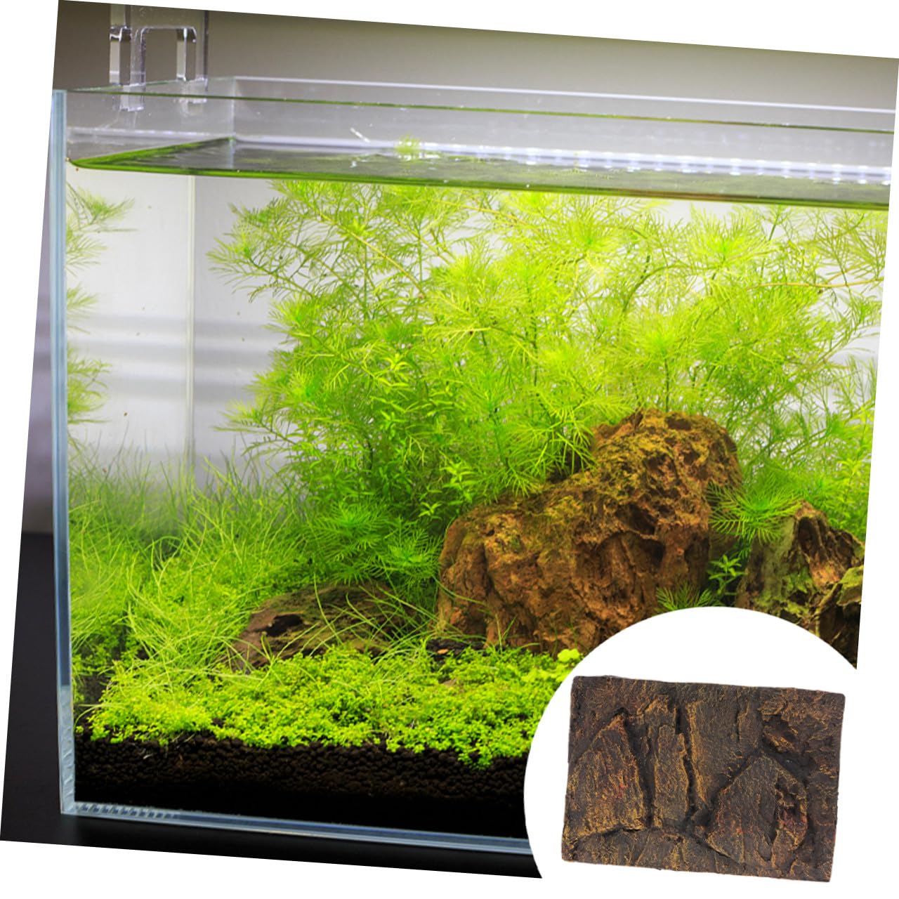 2 Piezas Telón De Fondo De Caja De Reptil Fondo De Terrario Decorativo Soporte Para Pecera Fondo De Pecera Fondo De Terrario De Corteza Reptichip 3d Vidrio Piedra De Dragón Pu