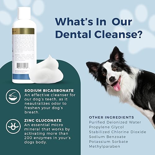Miniatura 7 de Petscy - Limpieza dental, removedor de sarro para gatos y perros totalmente natural para dientes, aditivo de agua para gatos y perros para el