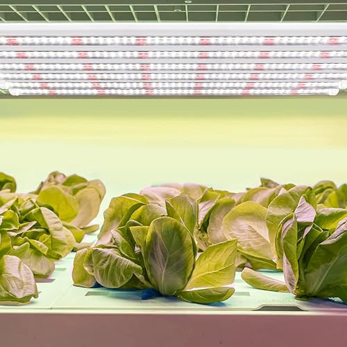 Miniatura 10 de Luces LED T5, 1.4 pies, 5000 K, espectro completo, luces de cultivo blancas para plantas de interior, inicio de semillas suculentas de invernadero,