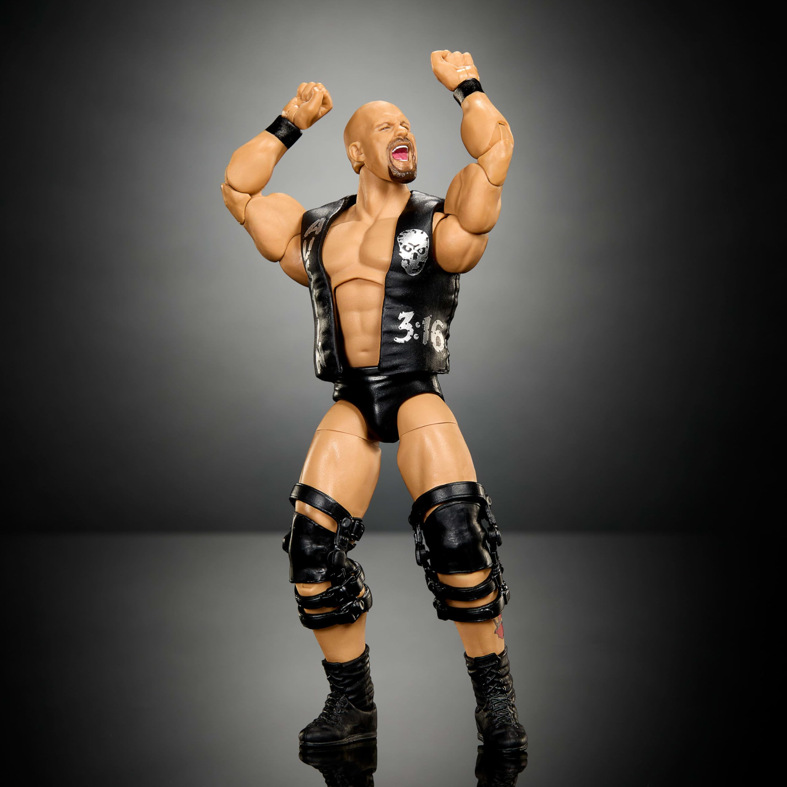 Amazon.com: Mattel WWE Elite Collection Action Figure