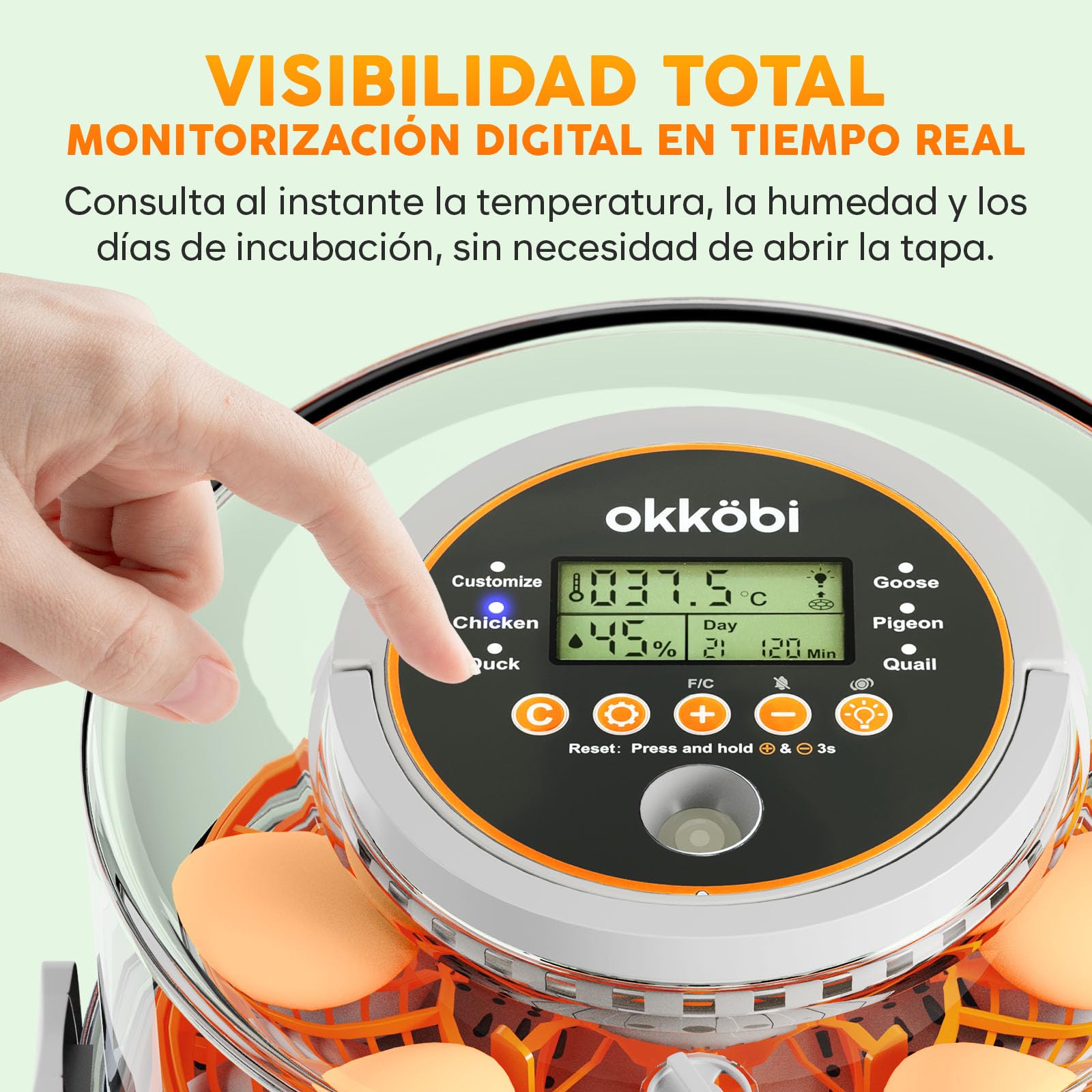 Incubadora automática Okköbi para huevos – incubadora huevos gallina 12 o 20 unidades – volteo automático – incubadora de huevos con control de temperatura y humedad – lámpara incluida