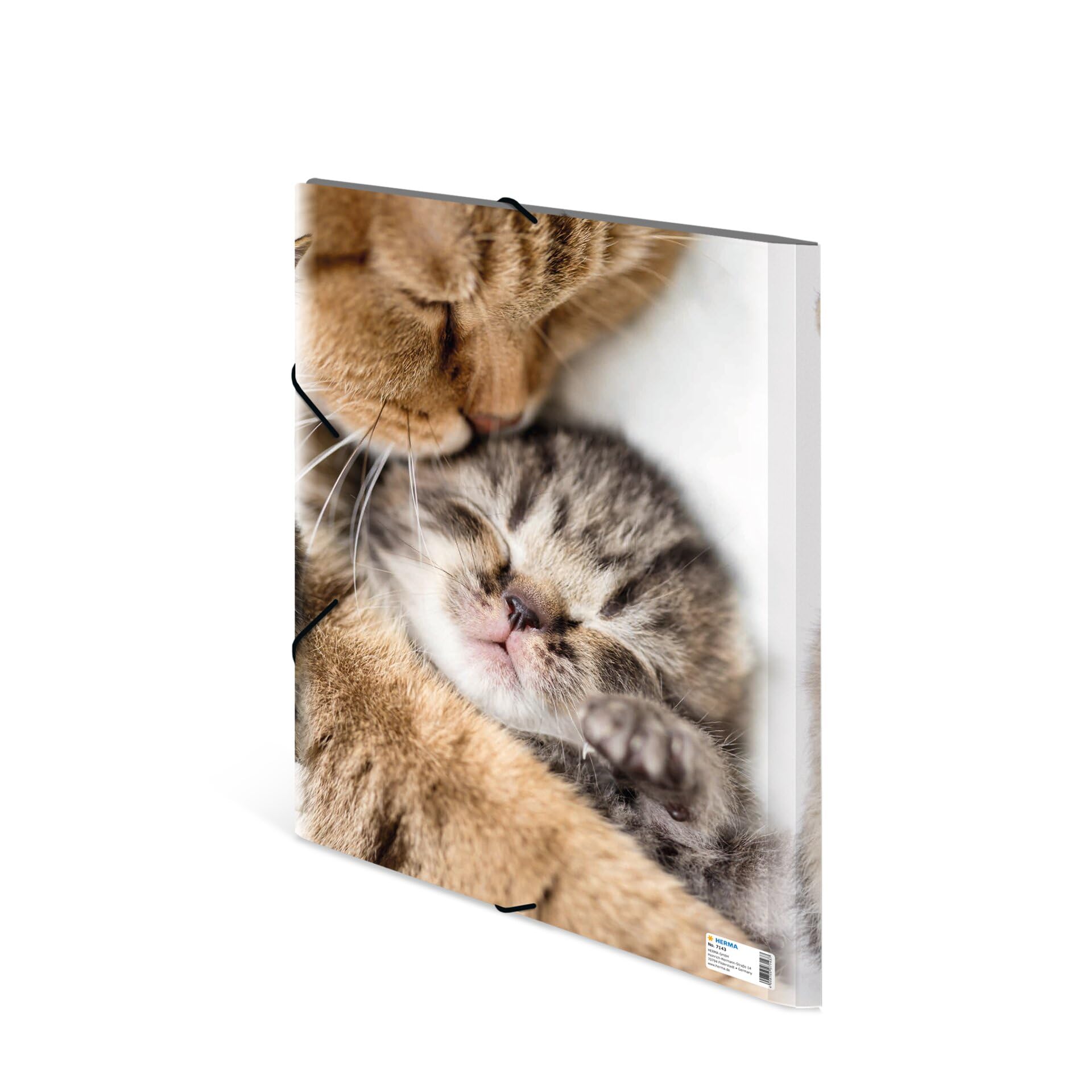HERMA 7143 Portfolio Folders A3 Animals Cats, Pack of 3, Children's Plastic Corner Folder with Inner Print and Elastic Band - Image 2