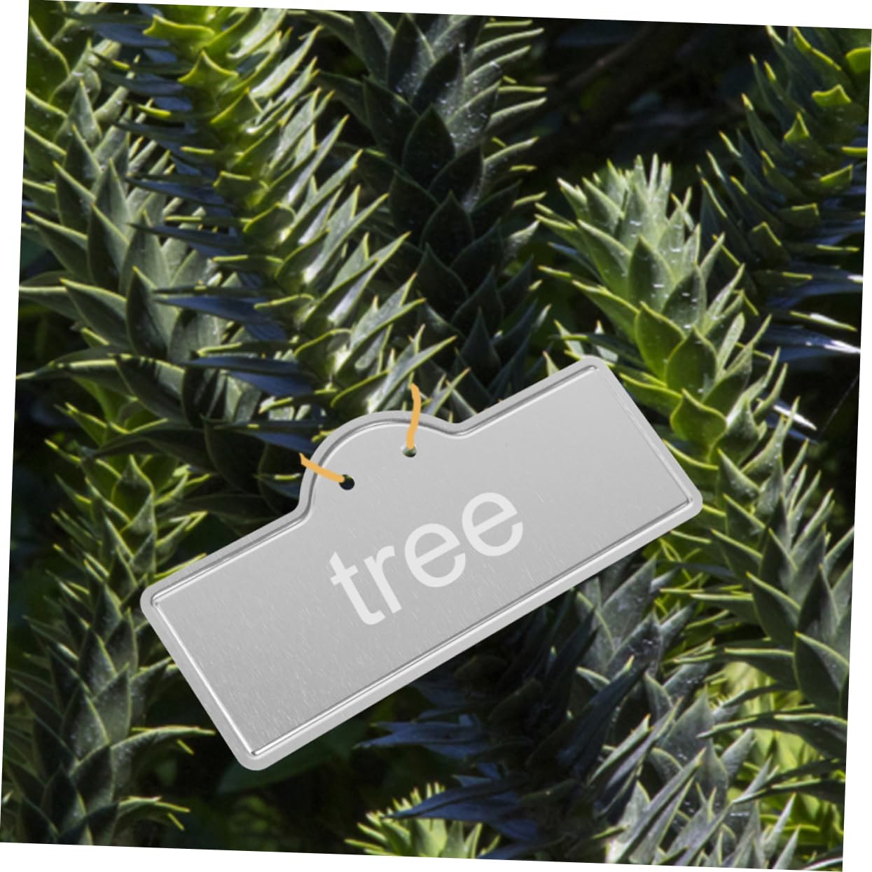 TOYANDONA 5 Sätze Pflanzenschild Lustige Pflanzenmarkierungen Gartenarbeit Hängende Pflanzenetiketten Schilder Für Gemüse Gartenschilder Kräutermarkierungen Für Den Garten 10 Stück * 5