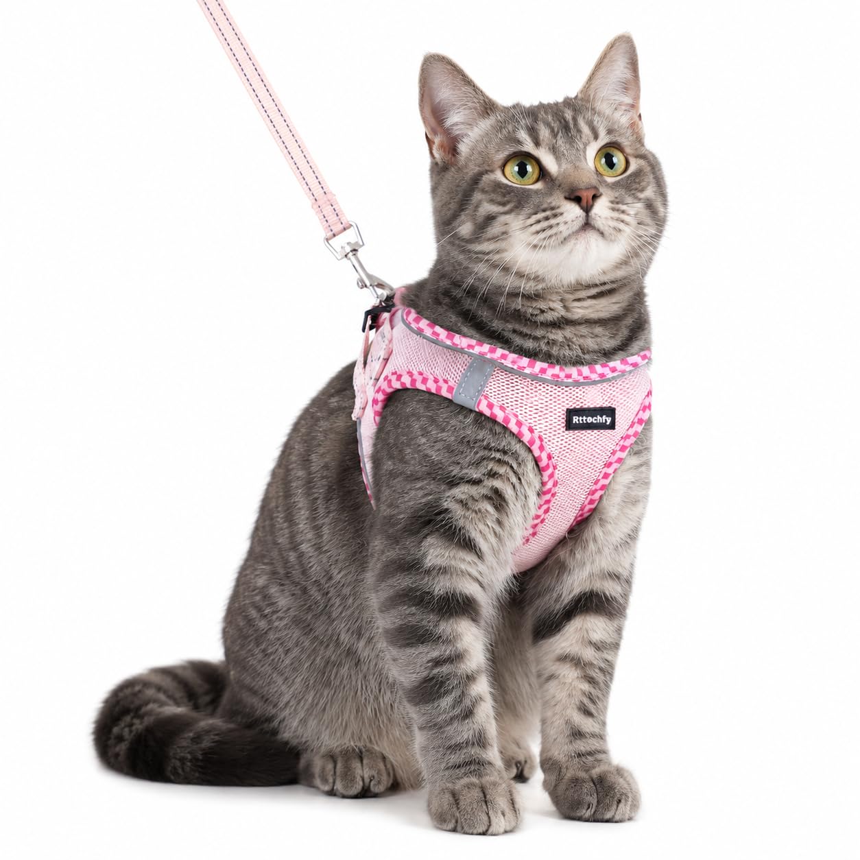 Rttochfy Ensemble Harnais et Laisse pour Chat, Harnais Anti-Fugue pour Chaton, Gilet Doux et Respirant avec Bande réfléchissante, Facile à Porter, pour la Promenade et Les Voyages des Chats (Rose, S)