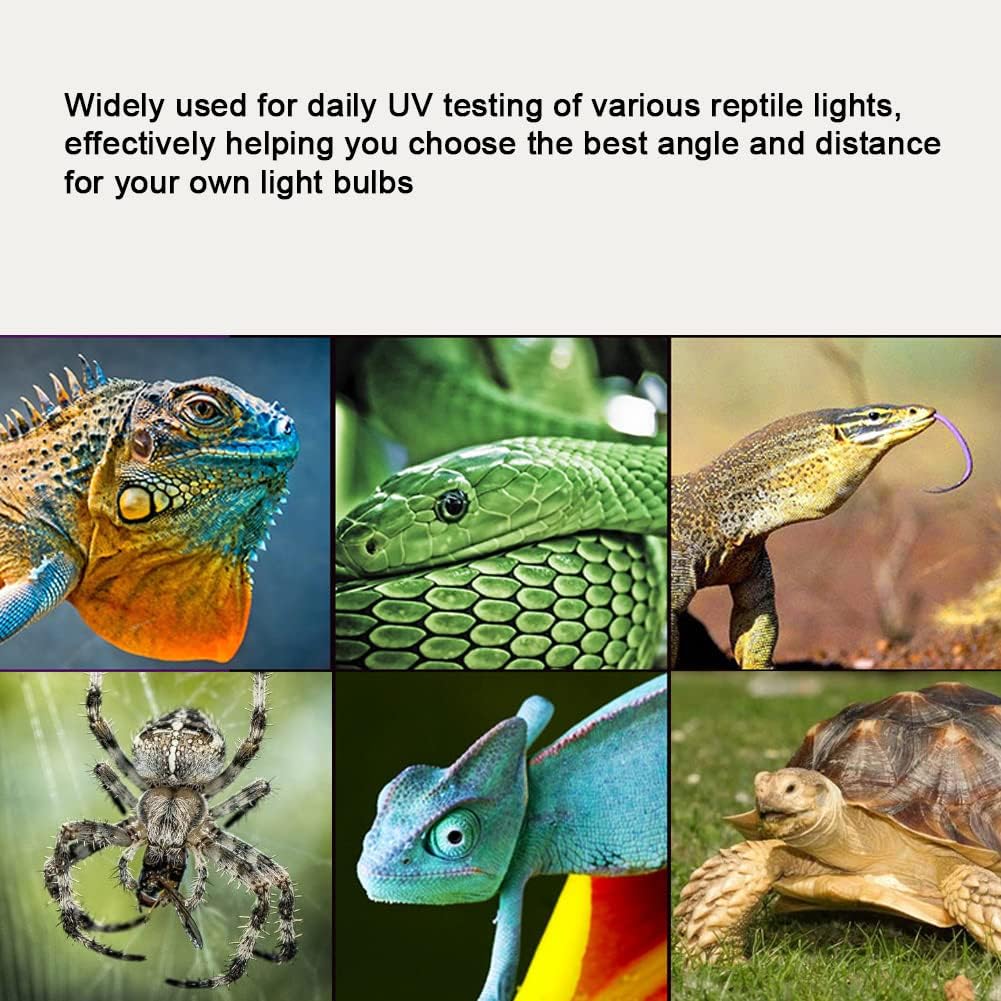 Reptile UVB Lamp Meter,UVB Tester for Reptile Heat Lamp with 2 Inch Digital Display,UVB Sensor