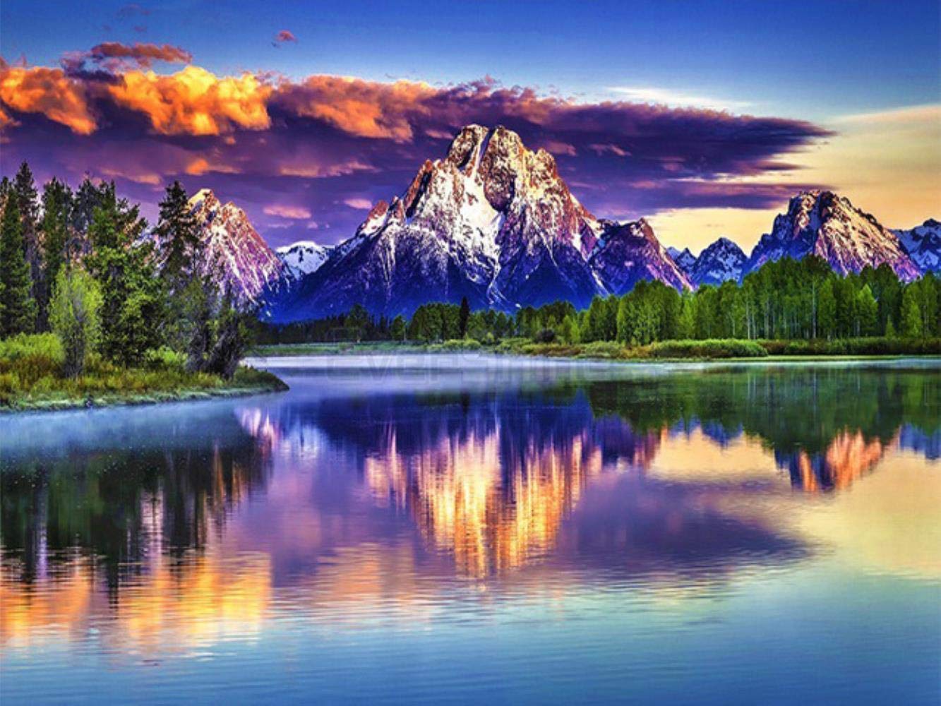 5D DIY Diamond Painting Full Drill Kits Crystal Rhinestone Adults Kids Diamond Embroidery Cross Stitch Canvas Diamond Art Craft for Living Bedroom Wall Decor Gift Full Round 40X50cm