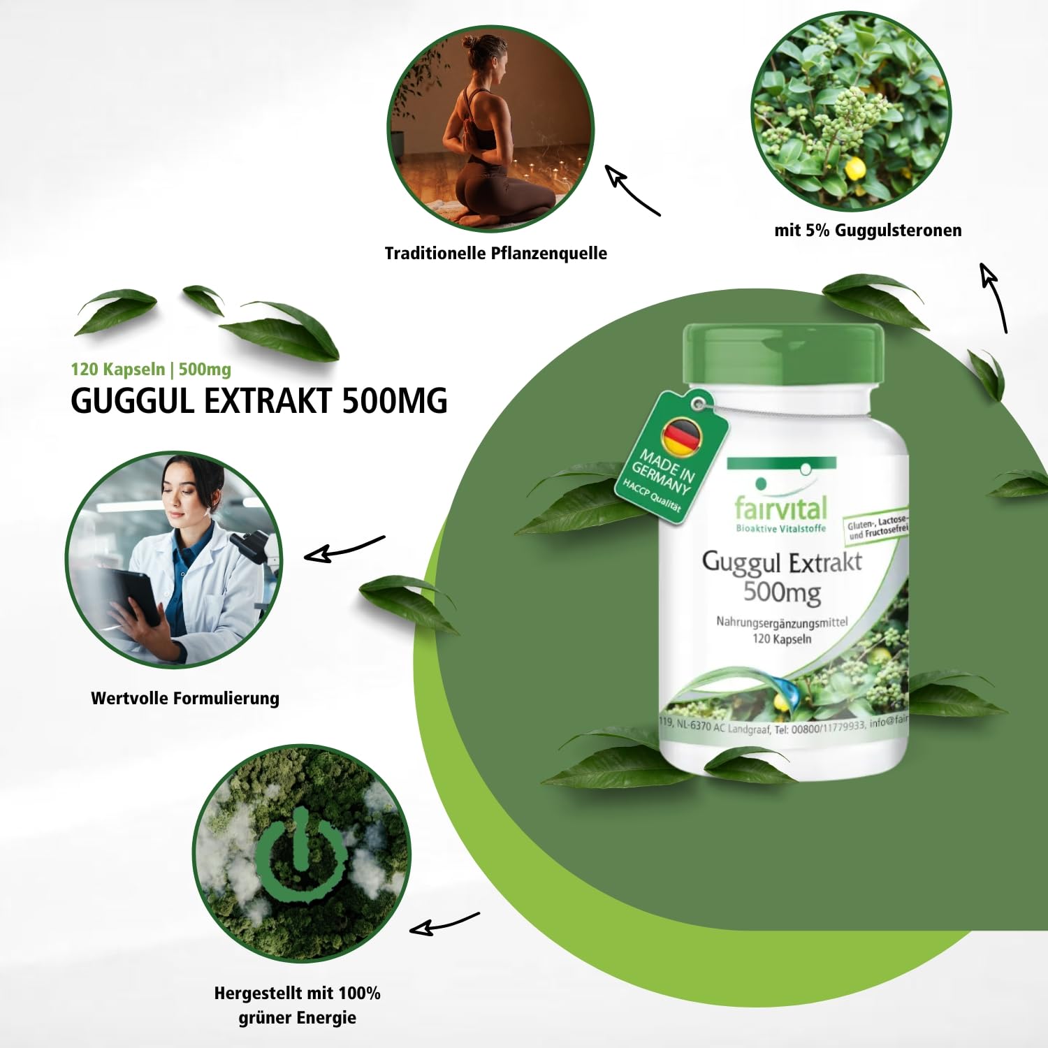 fairvital Guggul Extrakt 500mg, 120 Kapseln, 5% Guggulsterone, qualitätsgeprüft und hochdosiert, 100% vegan, Made in Germany