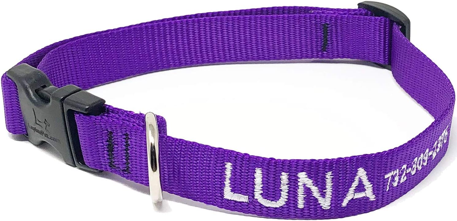 Lupine Personalized Dog Collar (Tail Feathers)