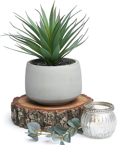 Miniatura 5 de Kurrajong Farmhouse Planta artificial de interior | Planta falsa de 7 pulgadas de alto | Suculenta artificial en maceta | Suculenta falsa | Planta