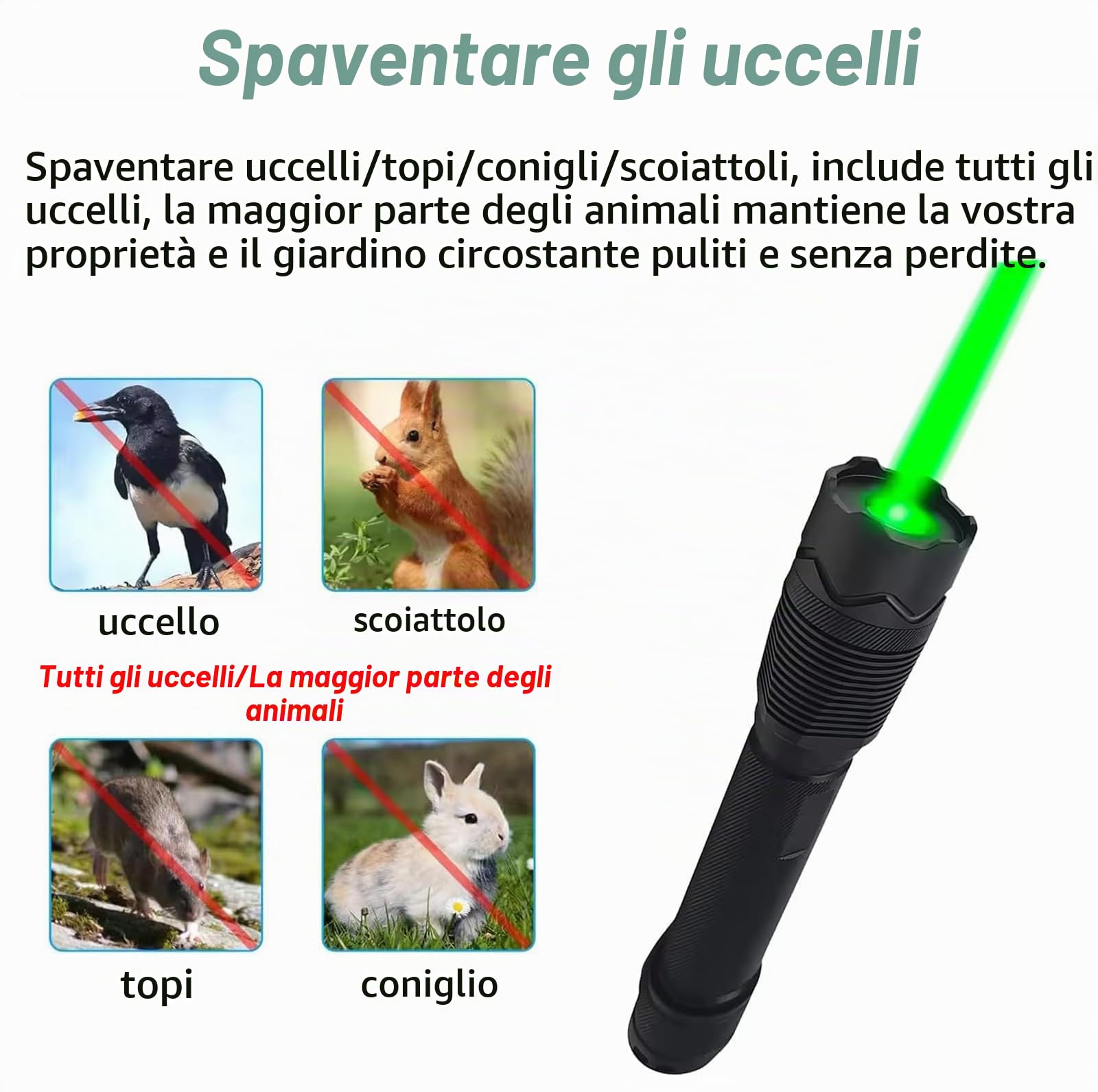 Dissuasore Laser Portatile per Allontanare Gli Uccelli, Repulsore per Uccelli con Laser Verde Ricaricabile, Dispositivo Portatile per Spaventare Gli Uccelli, con Funzione Torcia