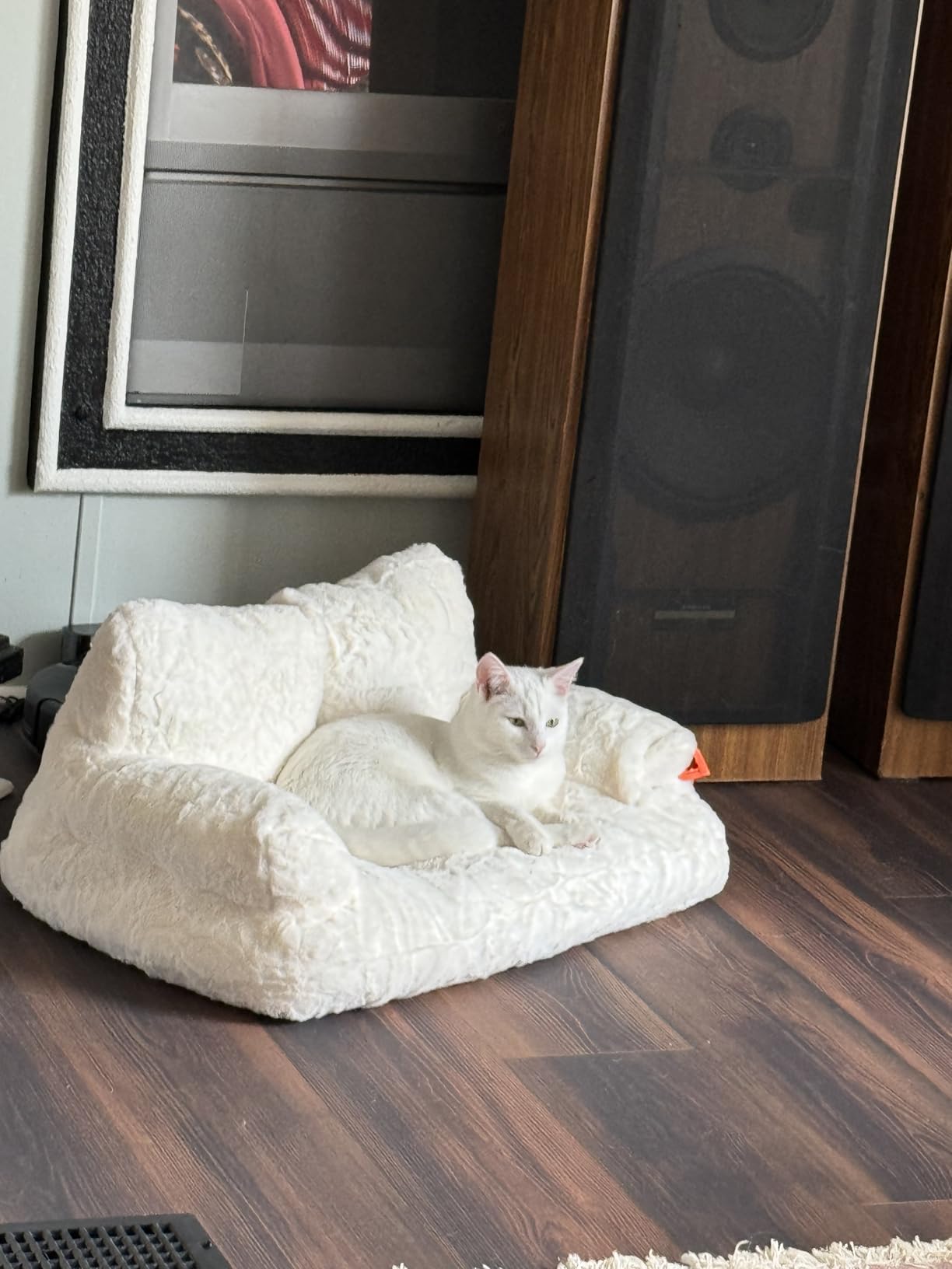MEWOOFUN Cat Bed for Indoor Cats, Washable Dog Beds for Small Dogs & Cats with Removable Cover, Fluffy Cat Couch with Non-Slip Bottom (Grey, 26.0" L X 19.0" W X 13.0" Th) photo review