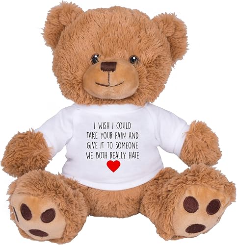 TEESANDTANKYOU Take Your Pain Bear Get Well Sick Regalo Oso de peluche marrón de 8 pulgadas