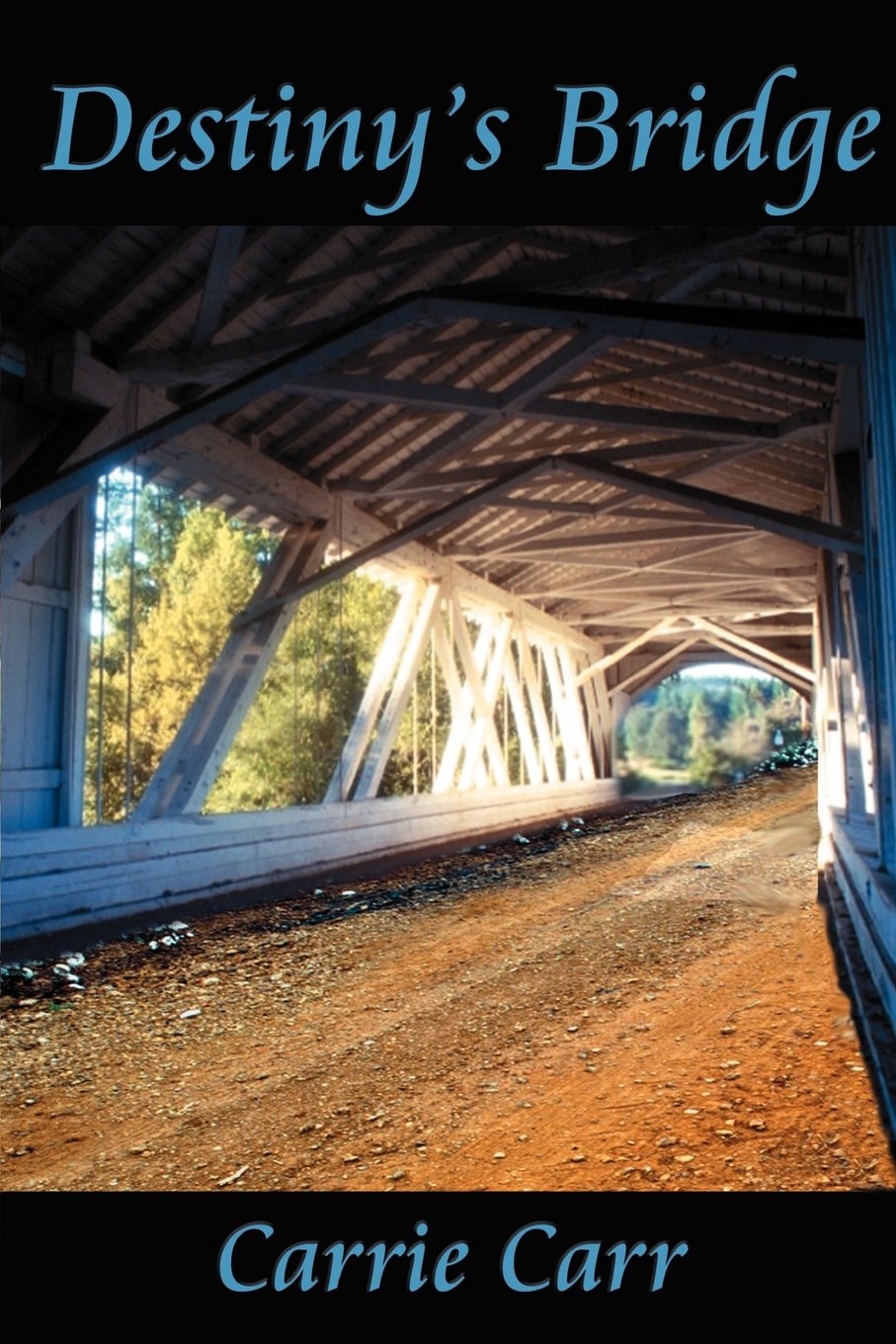 Buy Destiny's Bridge — BookShops.in