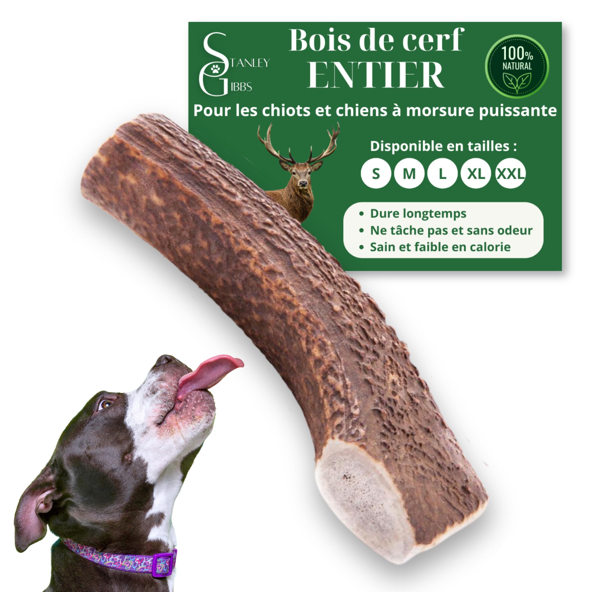 Bois de cerf pour chien XXL contre l'ennui et le tartre : jouet d'occupation sain