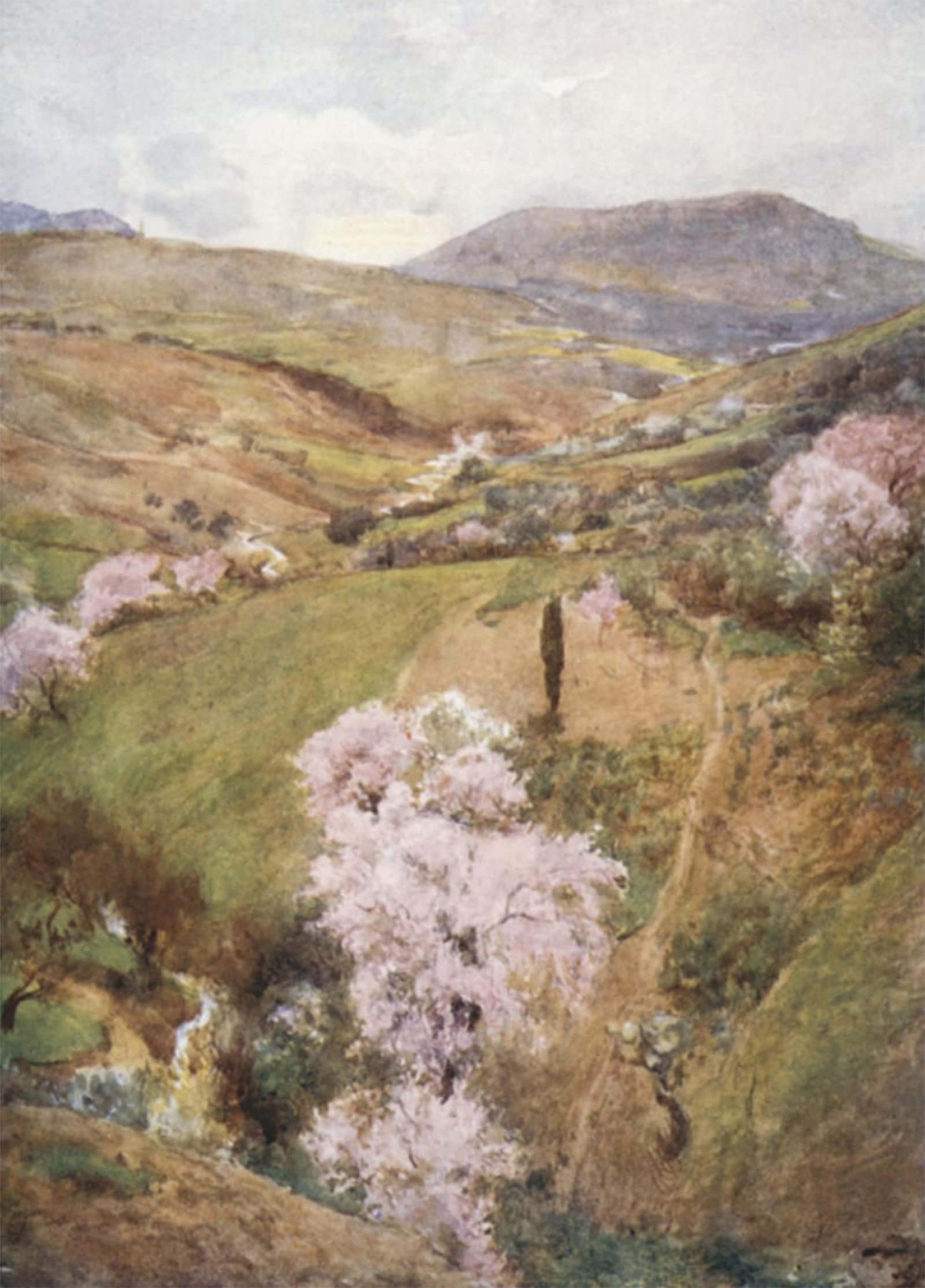ARTXLXXBN Famous Painting Canvas Artwork Graffiti Print Spring Day in a Valley Near Girgenti by Alberto Pisa Portrait Canvas Image for Home Decor 60x90cm