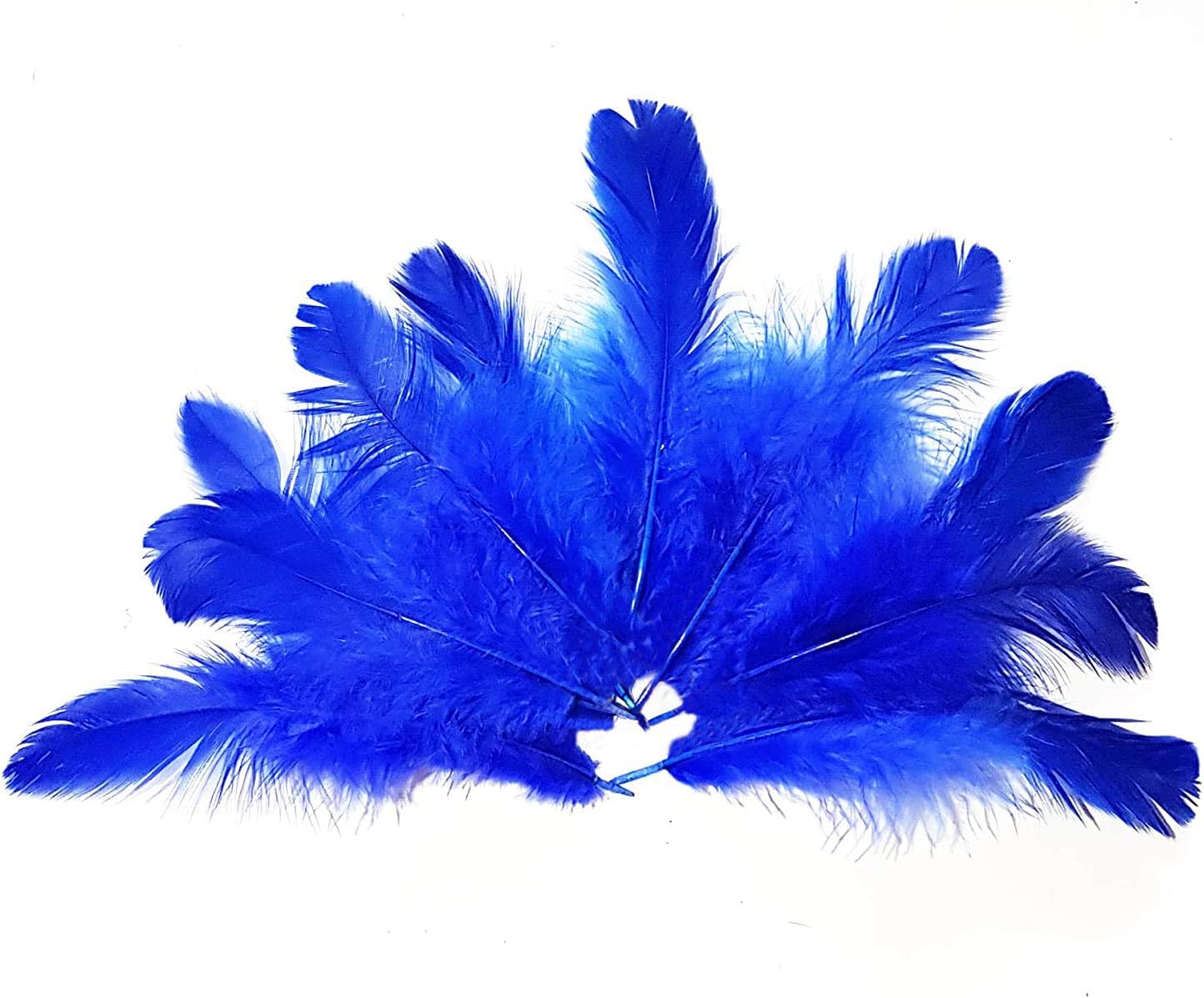 Natural Dyed Blue Multi-Purpose Craft Feathers (Approximately 80pc) for Dream Catcher Artificial Jewelry Making Art & Craftworks s DIY Hobby Crafts Kids Projectworks Scrapbooking