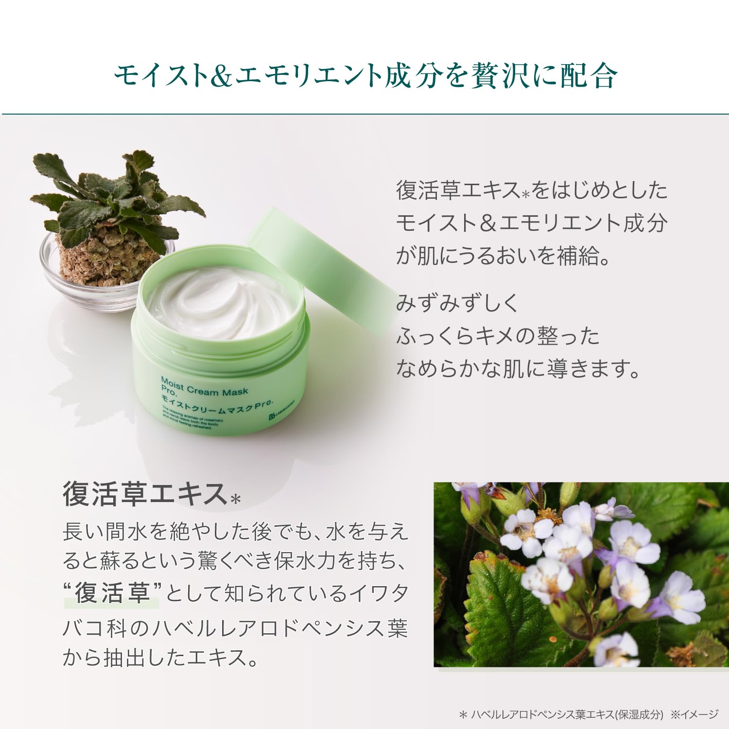 Amazon.co.jp: Bb LABORATORIES(ビービーラボラトリーズ) Bb モイスト