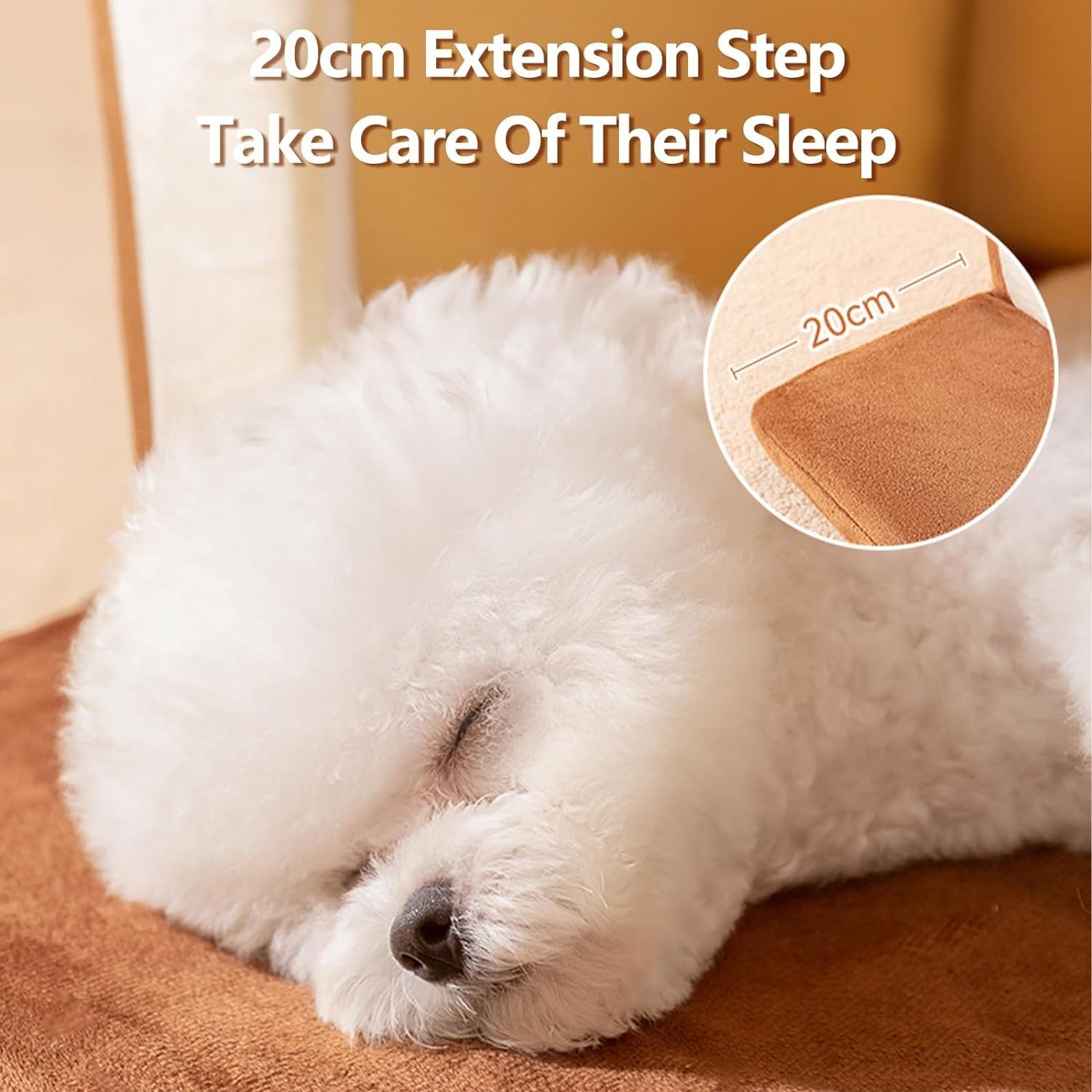 Tente De Maison Pour Chat | Caverne De Repos Fermée Pour Chat