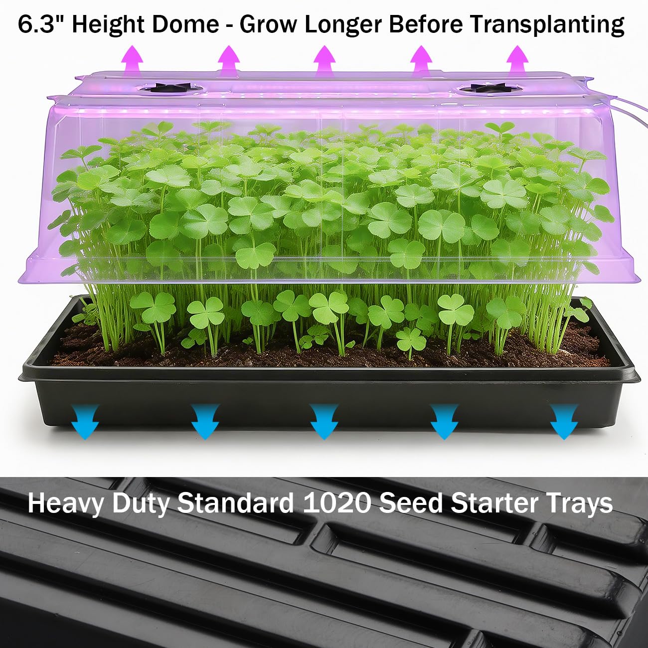 1020 Plateau de semences avec lampes de croissance – Lot de 4 dômes d'humidité extra élevée de 16 cm et plateau de propagation robuste, lot de 8 96 DEL à spectre complet intégrées avec minuteur/5