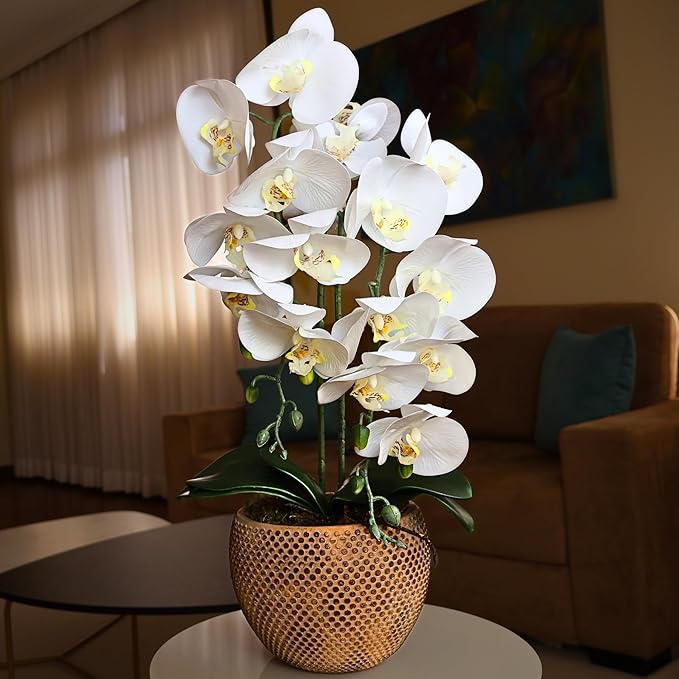 Arranjo de Orquídea Branca Toque Real