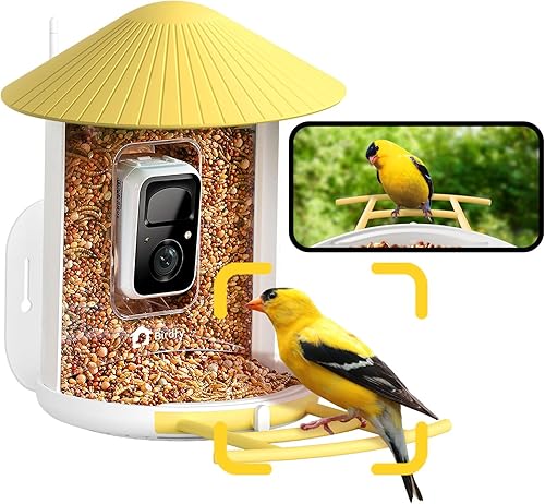 NETVUE by Birdfy AI - Comedero inteligente para pájaros con cámara, captura automáticamente cada pájaro que viene e identifica más de 6000 especies