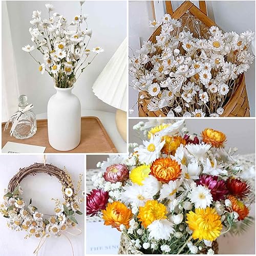 Miniatura 6 de Ramo de flores de margaritas secas, más de 150 flores blancas secas, girasoles artificiales, arreglos de margaritas naturales Gerber de 17 pulgadas