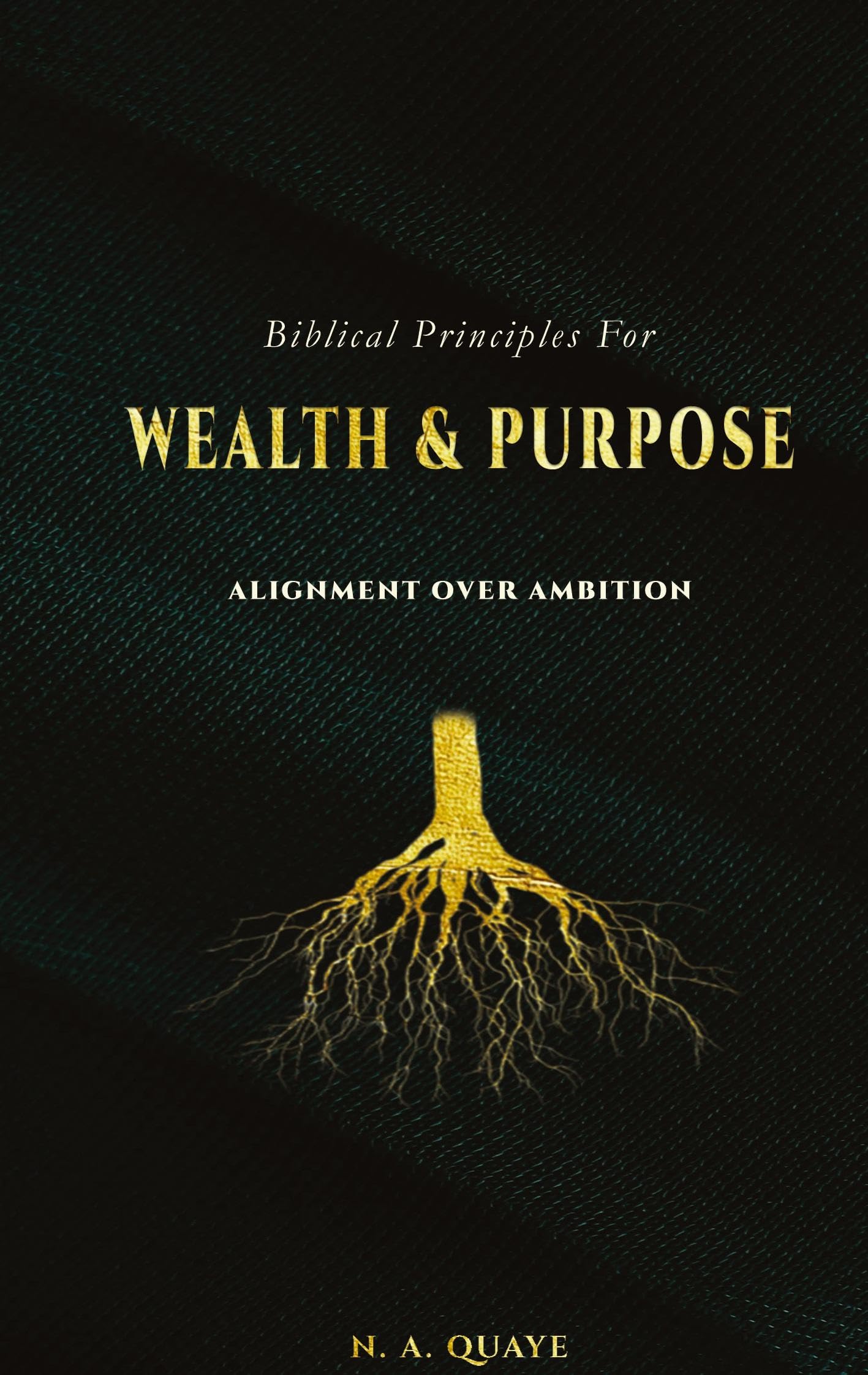 Biblical Principles for Wealth & Purpose: Alignment Over Ambition
