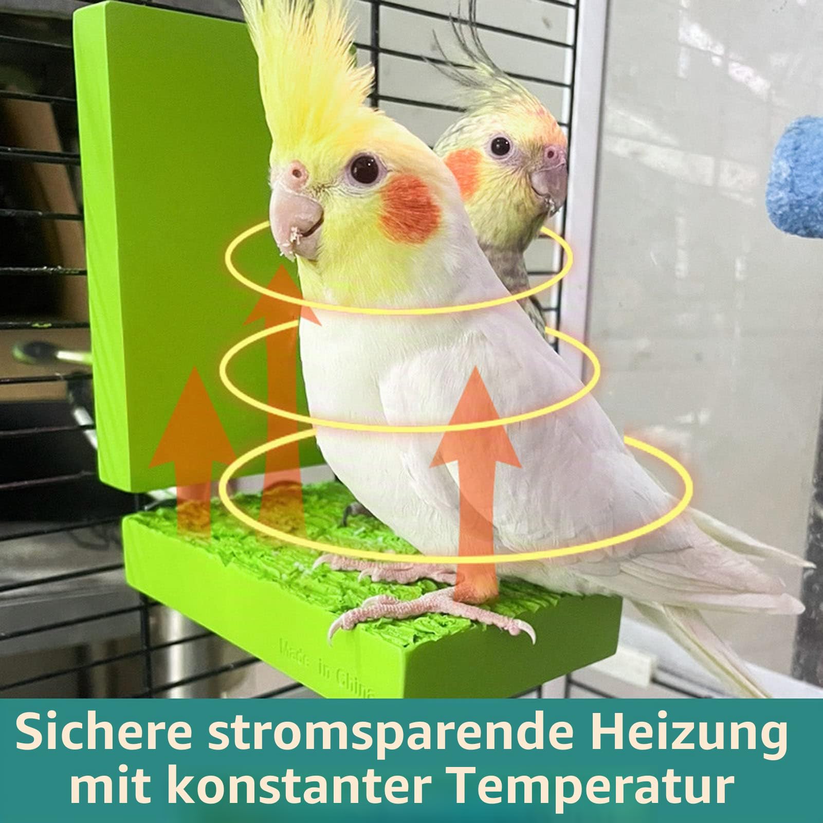 Heizplattform für Vogelstangen, Konstante Temperatur, 5 W, Sicheres Kleines Haustier, Warmes Standbrett, Käfigzubehör, Übungsspielzeug für Haustiere, Papageien, Wellensittiche, Sittiche,(EU)