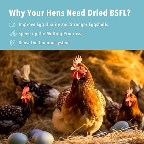 Vista 4 de Larvas secas de mosca soldado negro de 5 libras para pollo, más calcio que gusanos de harina, para gallina ponedora, aves silvestres (5 libras)